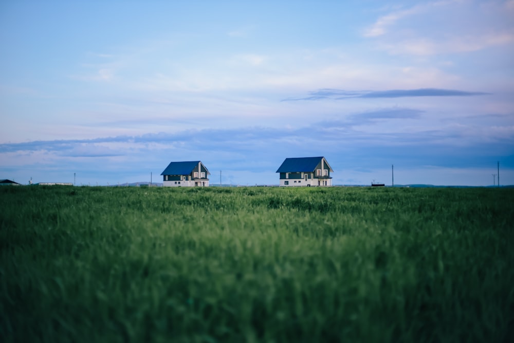 a couple of houses sitting on top of a lush green field