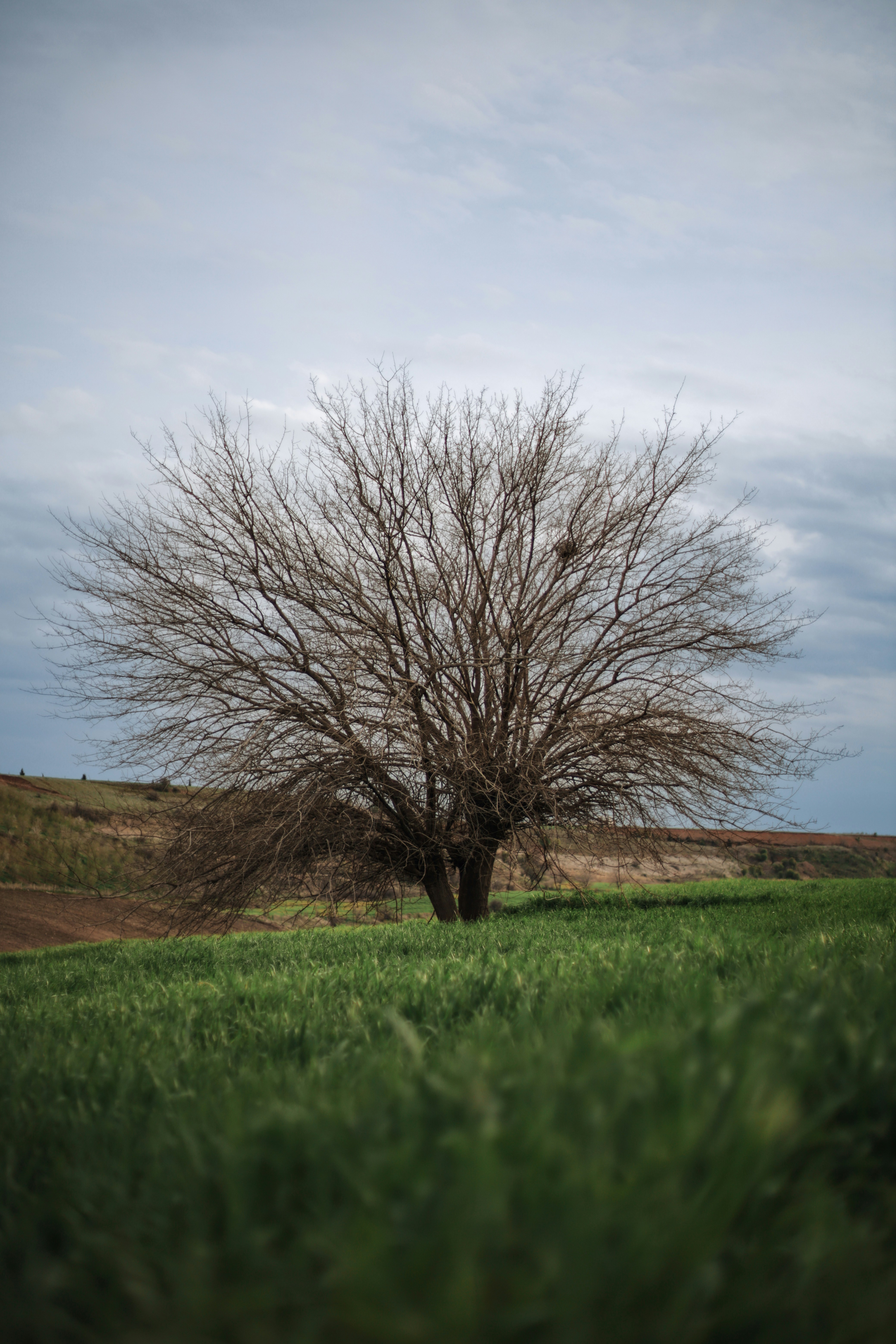 Photo by sserhattug