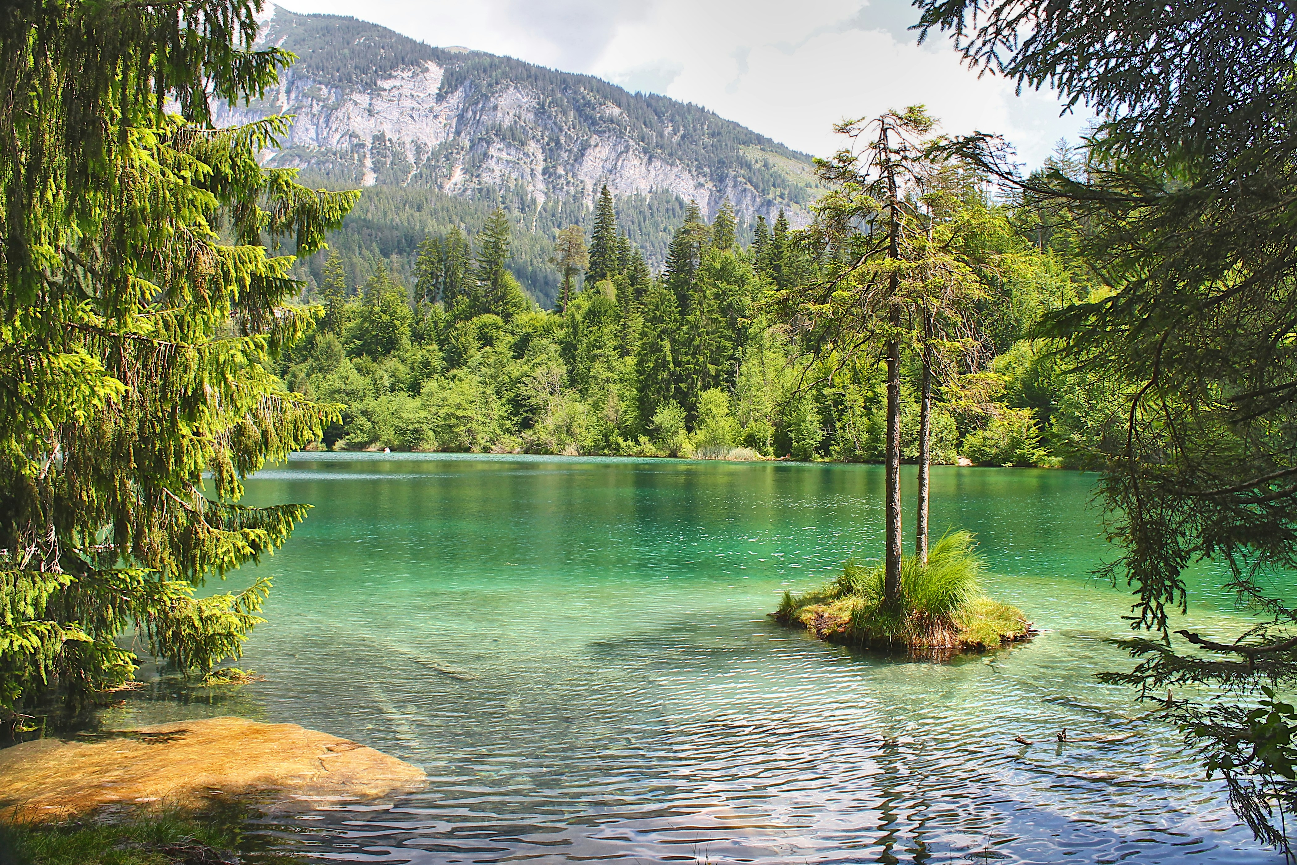 a body of water surrounded by trees and mountains