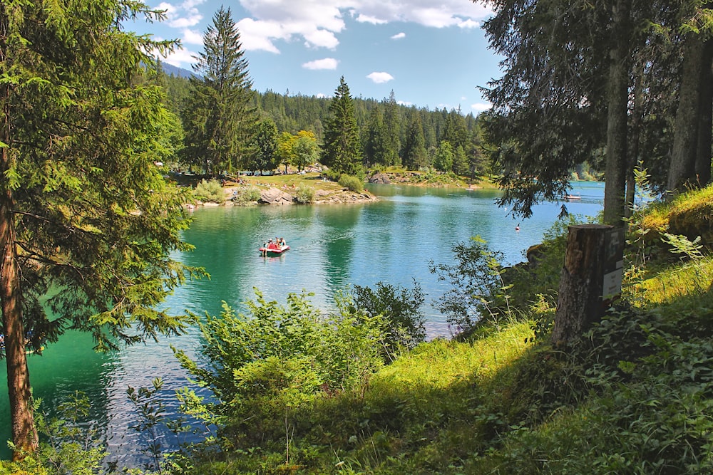 a boat floating on a lake surrounded by trees