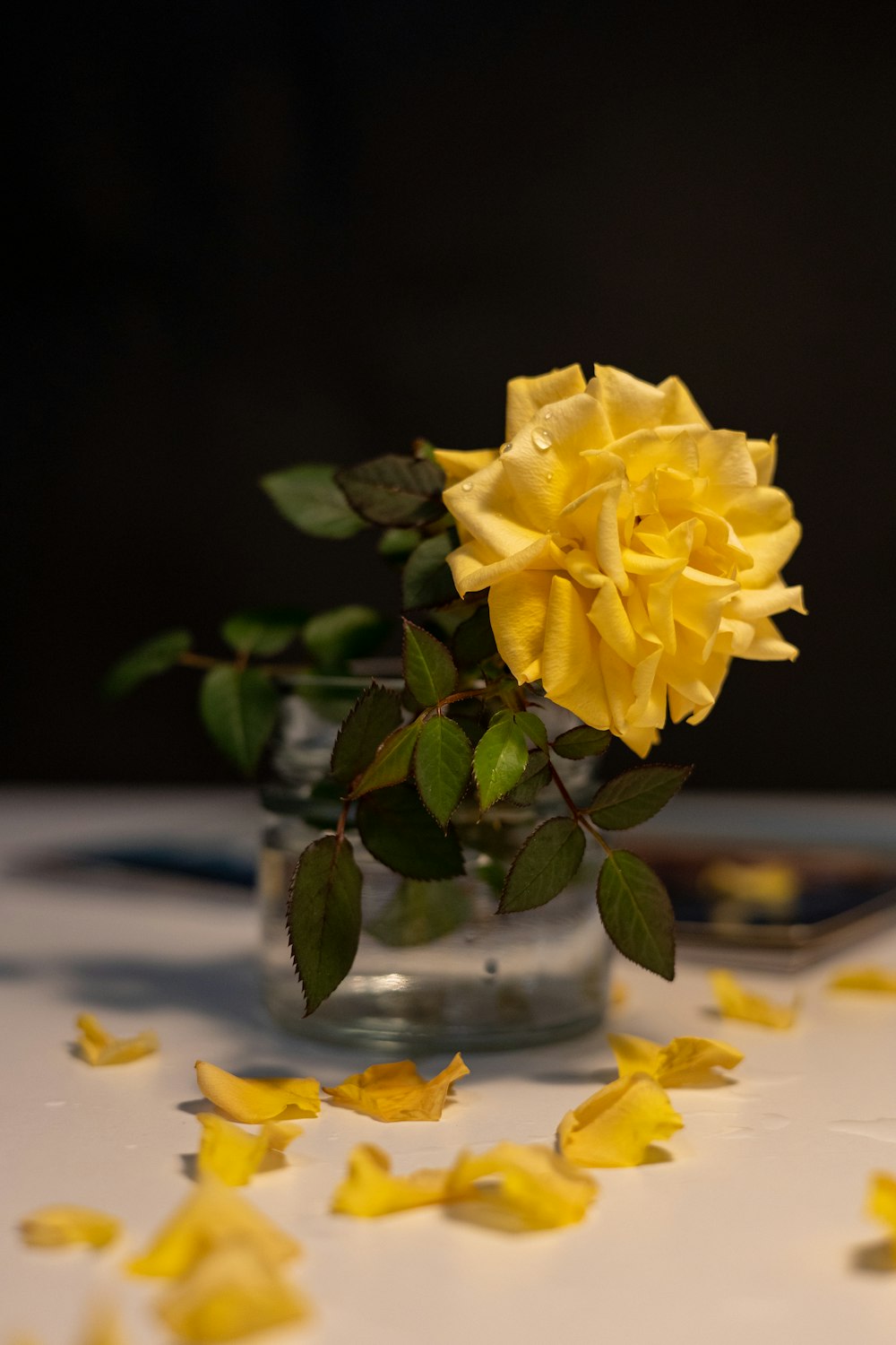 a yellow rose in a glass vase on a table
