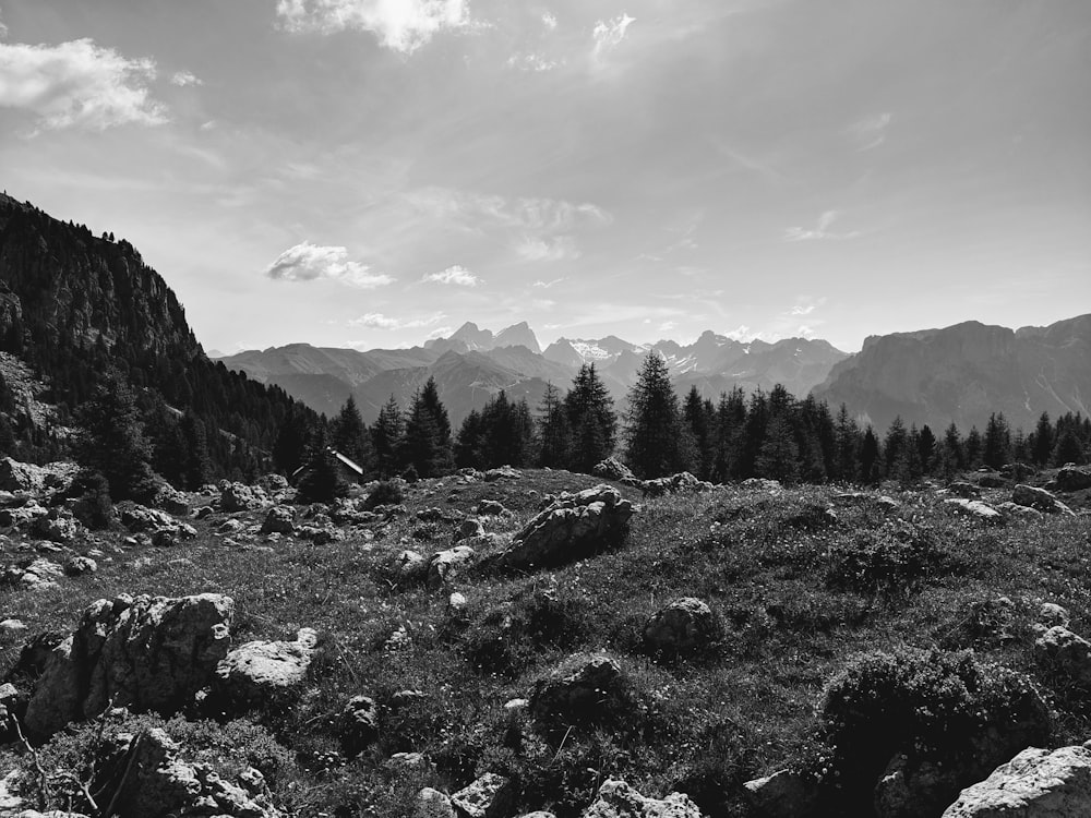 une photo en noir et blanc de montagnes et d’arbres