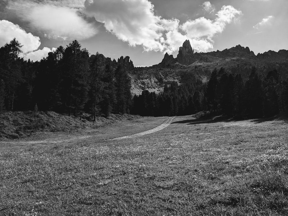 a black and white photo of a grassy field