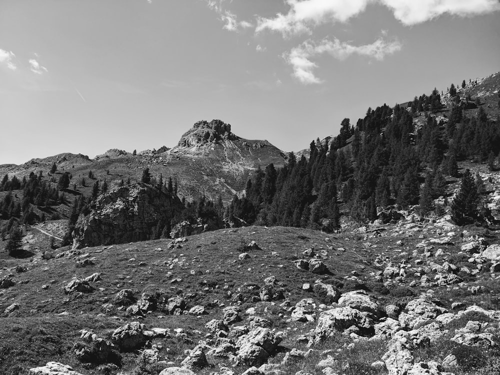 a black and white photo of a mountain