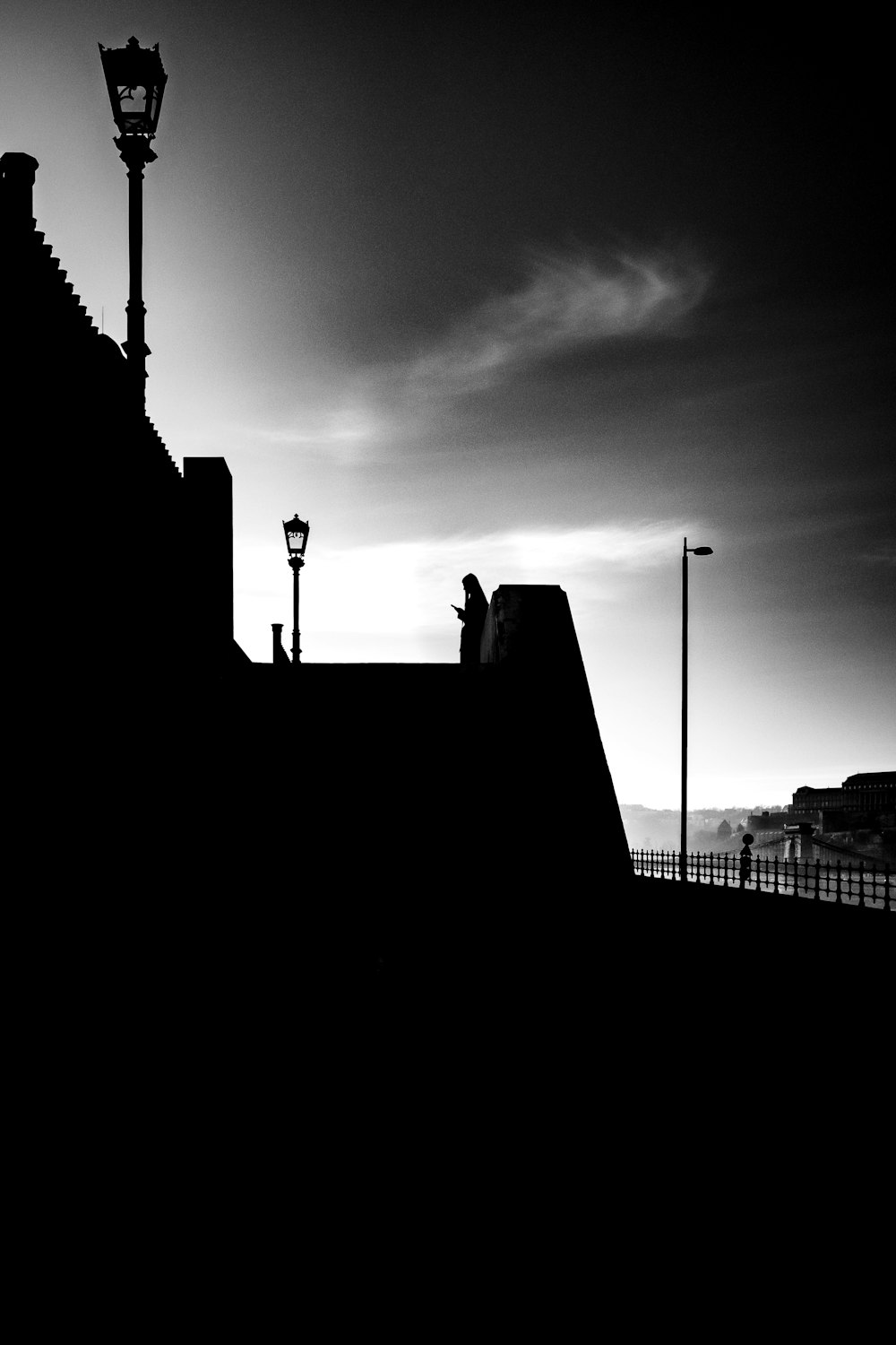 a black and white photo of a street light