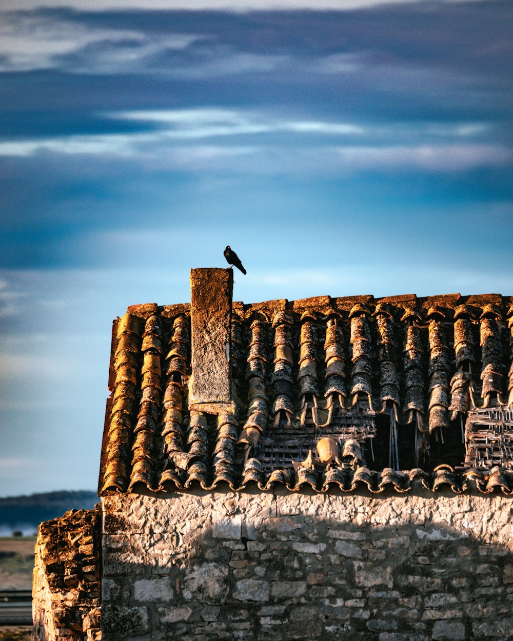 a bird is sitting on the roof of a building