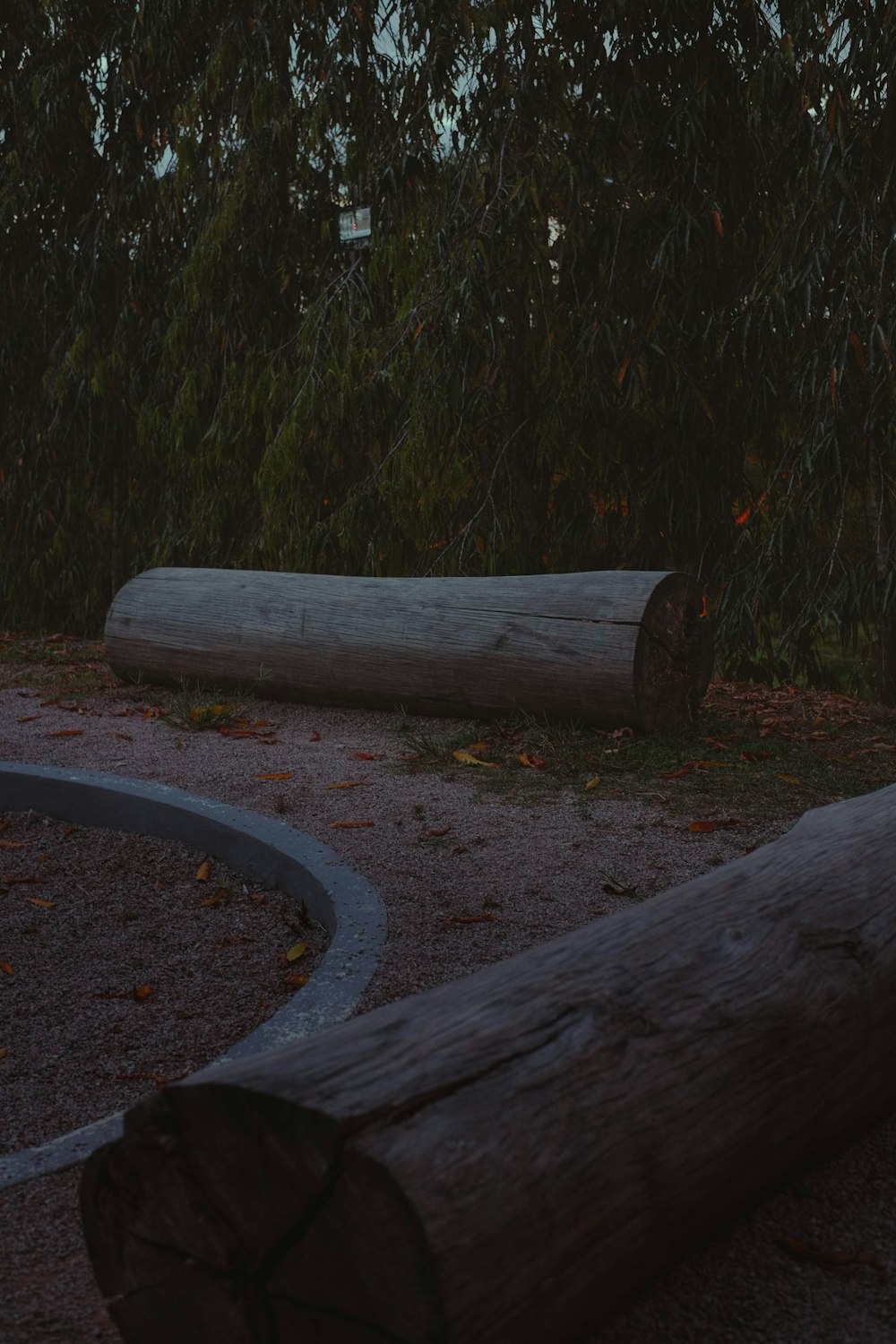 a large log sitting in the middle of a forest