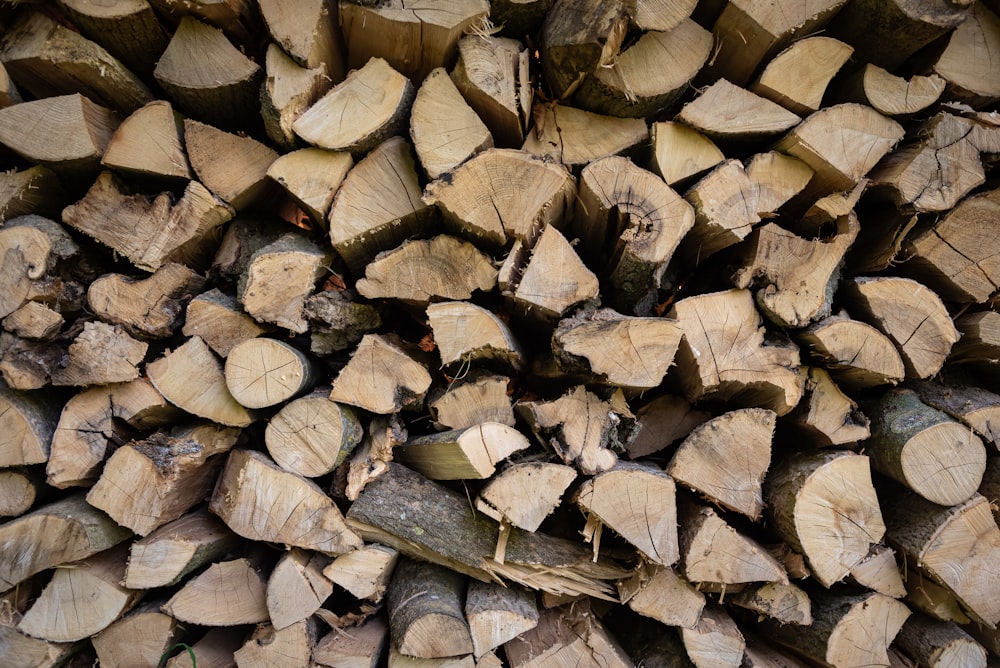 un tas de bois coupé assis les uns à côté des autres