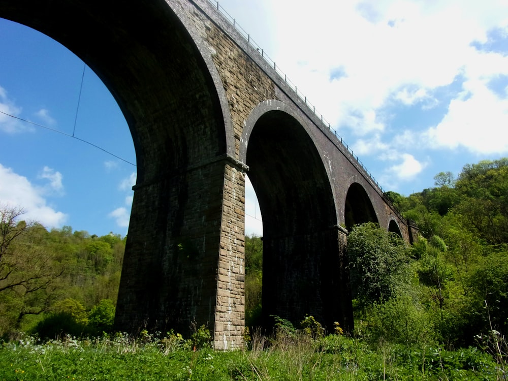 a stone bridge over a lush green forest