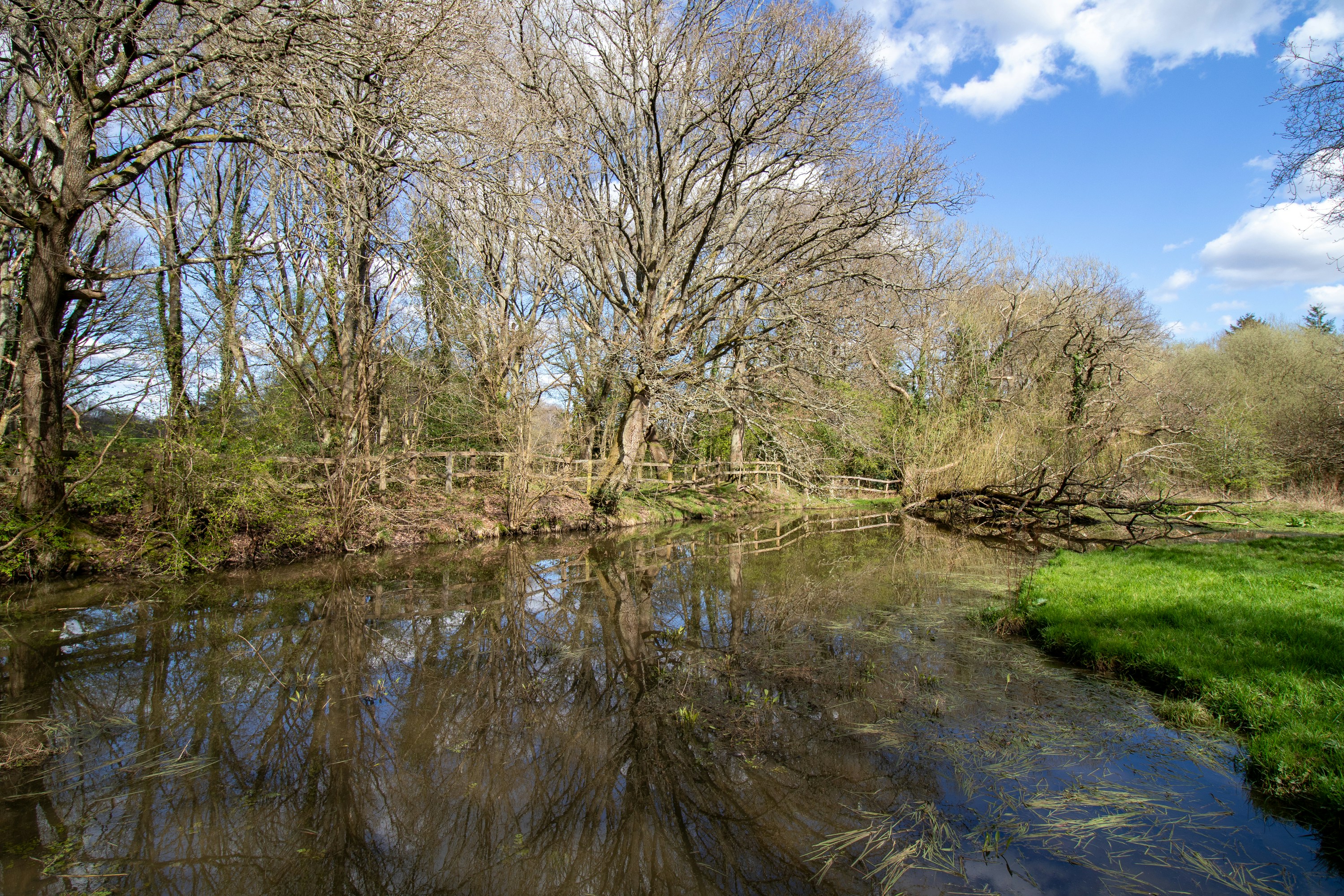 Photo by margarita30