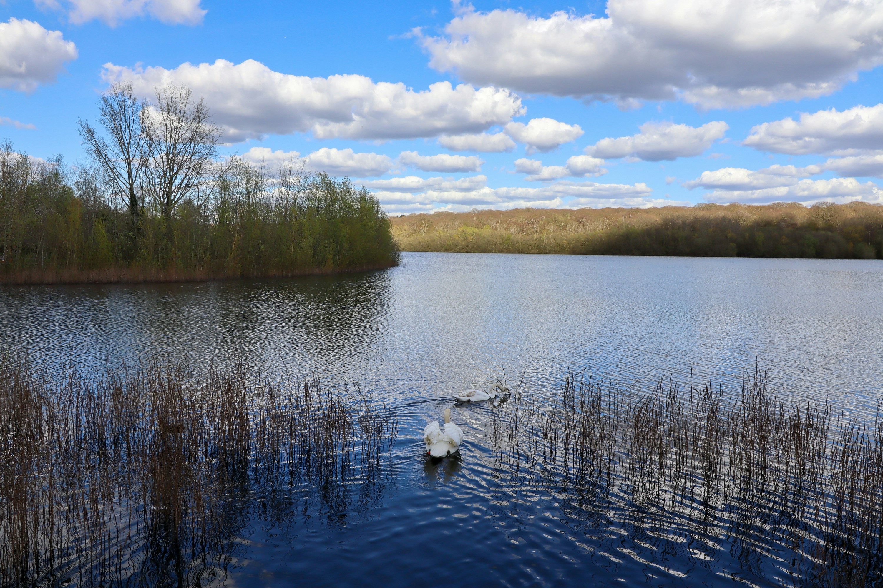 Photo by margarita30