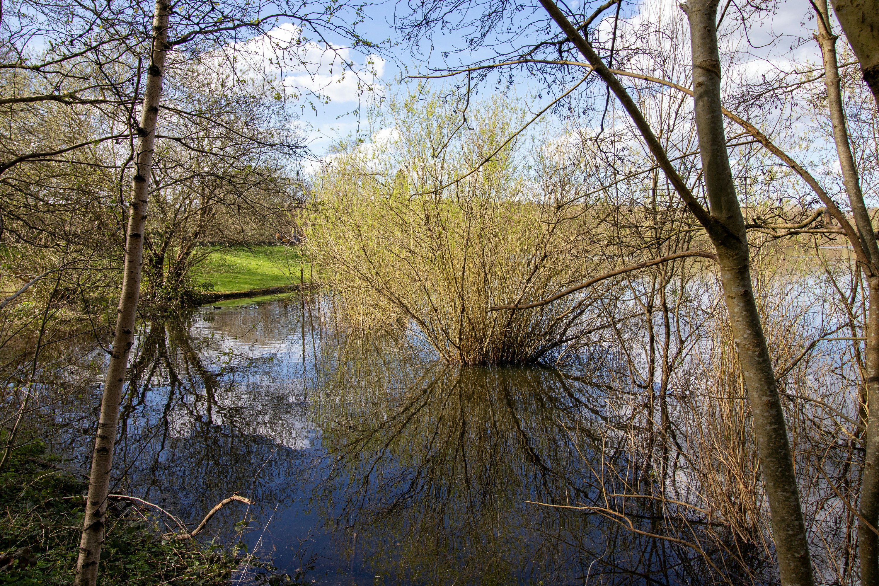 Photo by margarita30