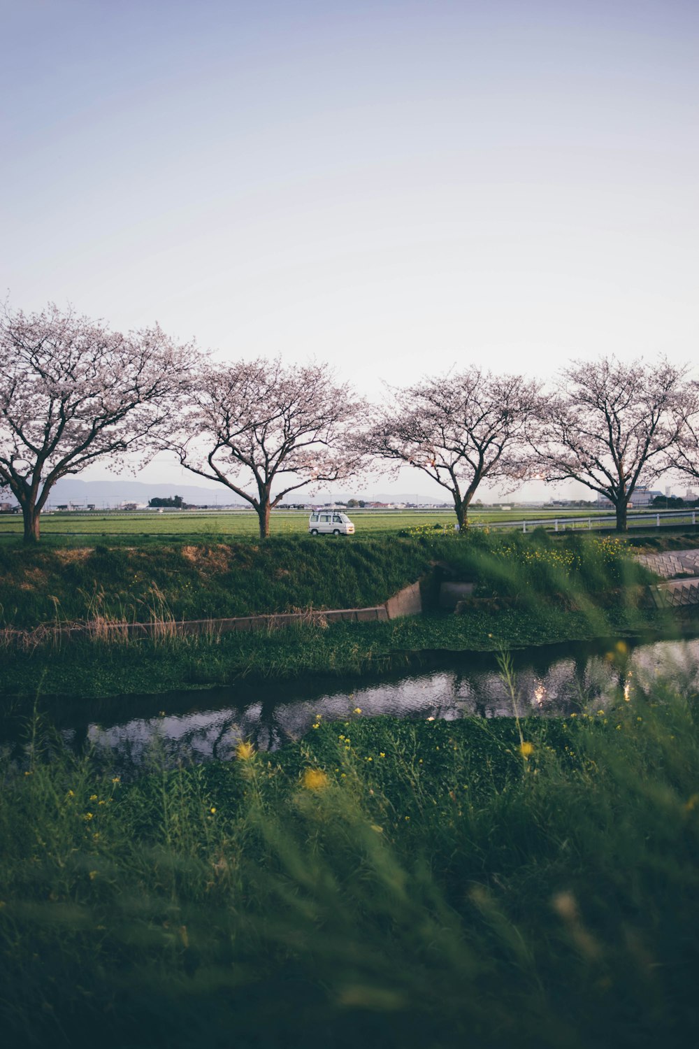 a grassy field with trees and a river in the foreground