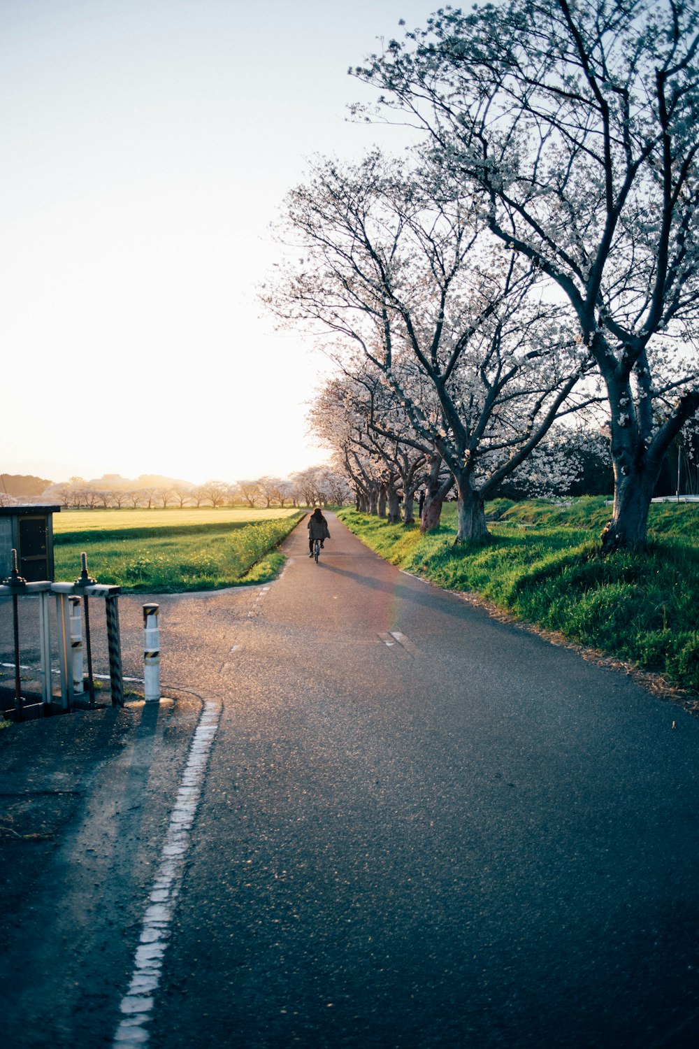 a person riding a bike down a road