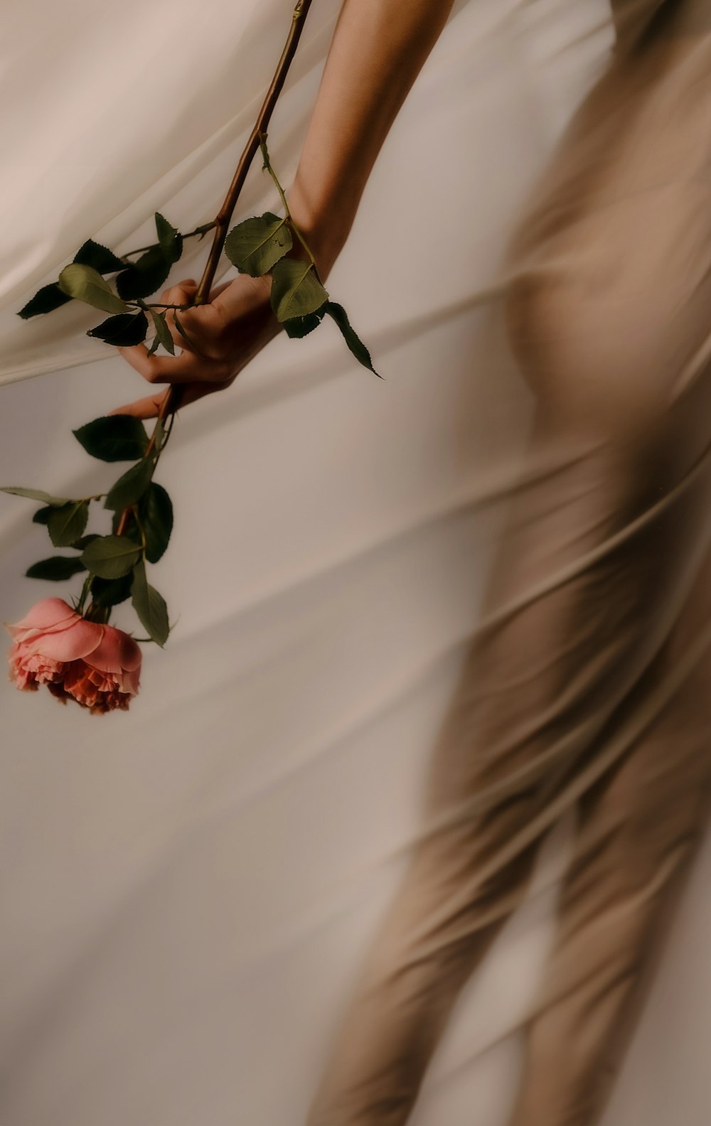 a person holding a rose in their hand