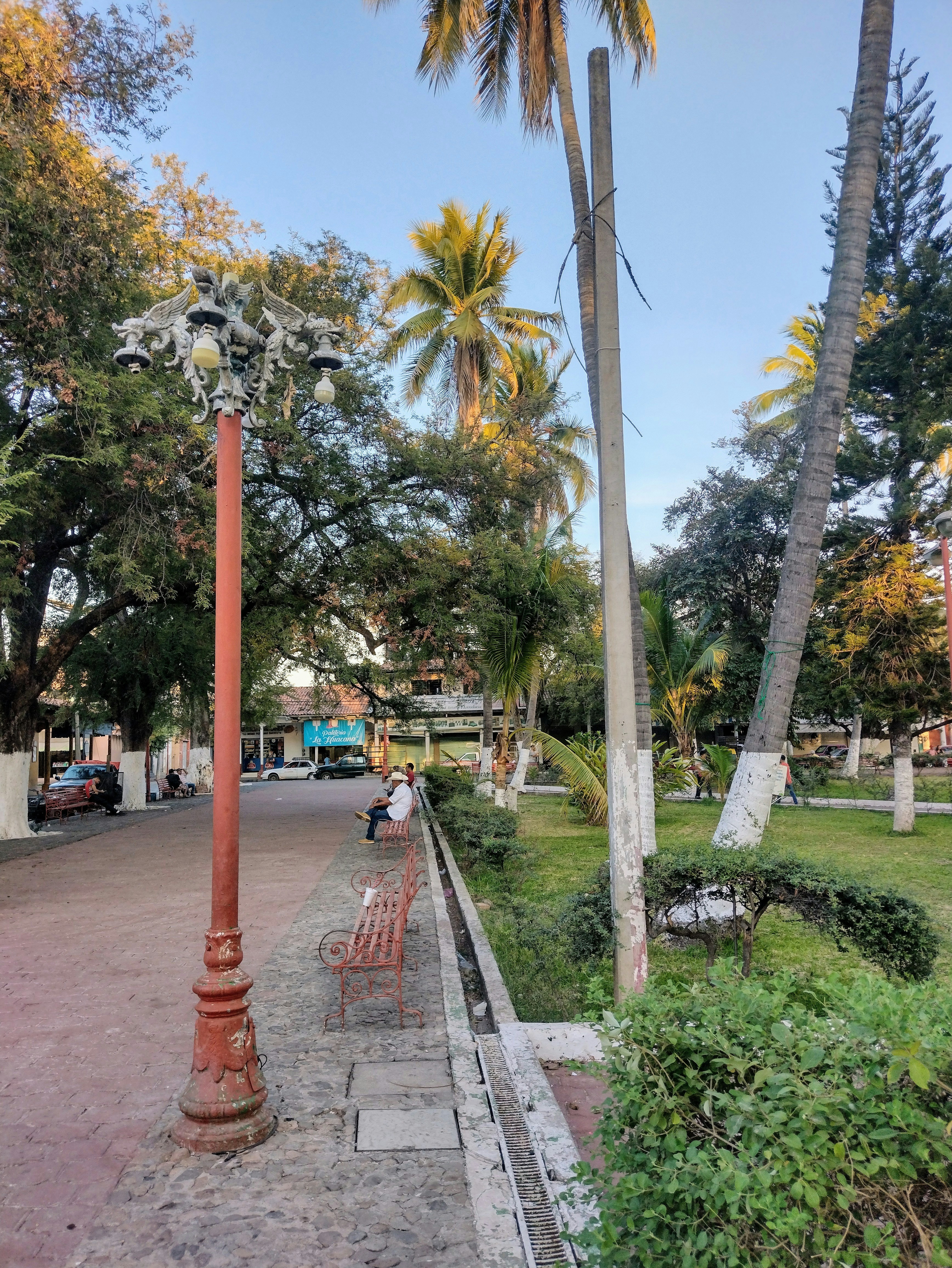 a bench sitting on the side of a road next to palm trees