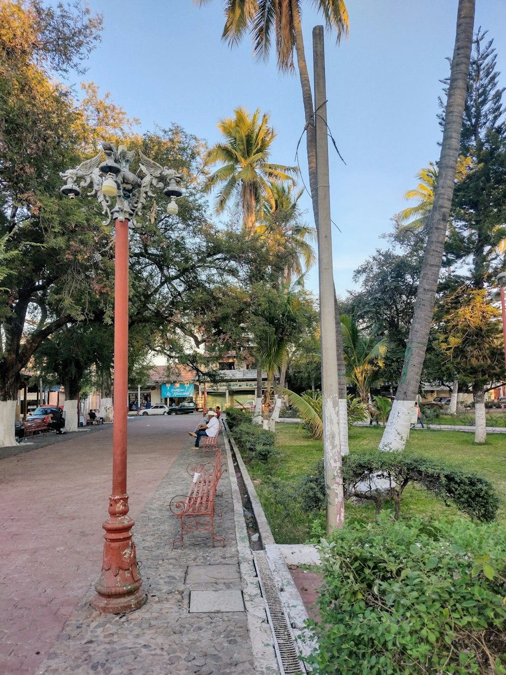 a bench sitting on the side of a road next to palm trees