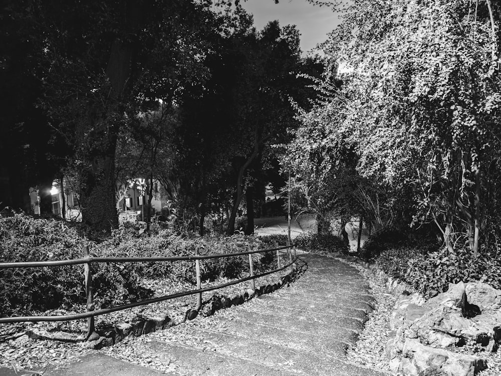 une photo en noir et blanc d’un sentier dans un parc