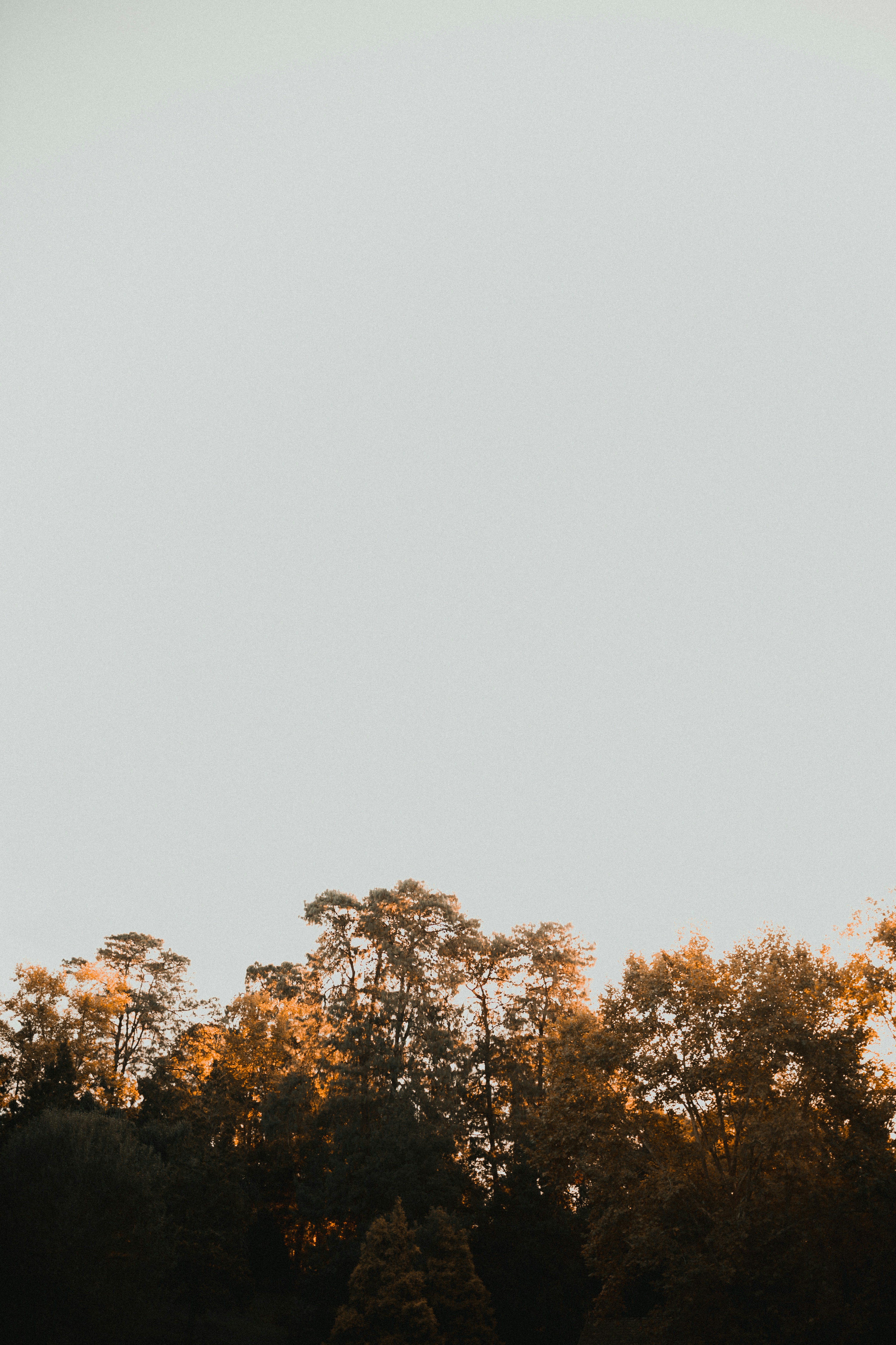 Photo by alexandermassph