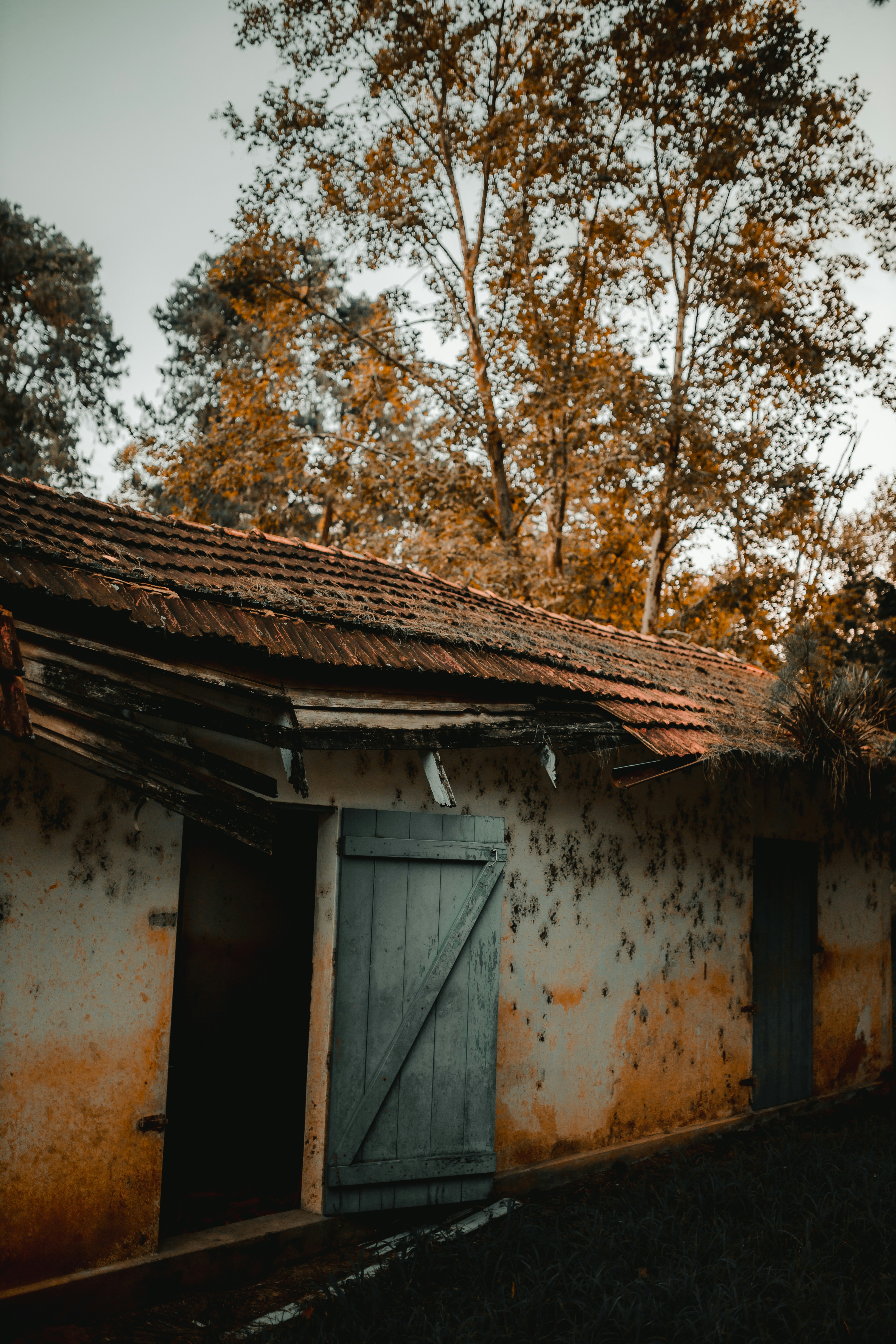 Photo by alexandermassph