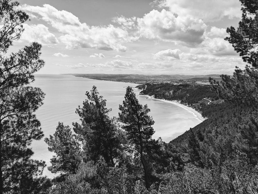 a black and white photo of a beach and trees