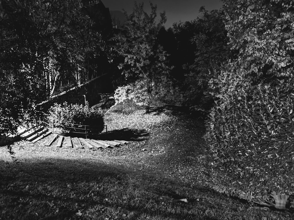 a black and white photo of a bench in the woods