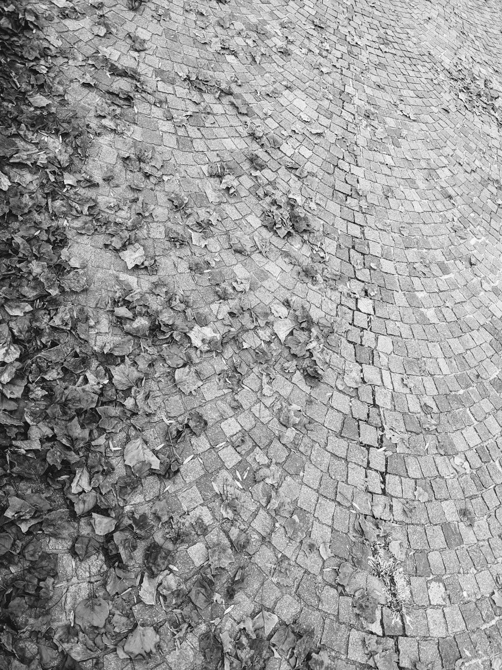 a black and white photo of a cobblestone road