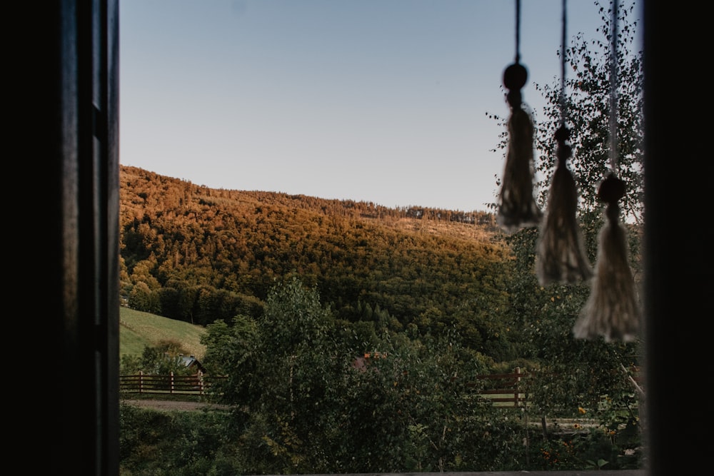 a view of a mountain from a window