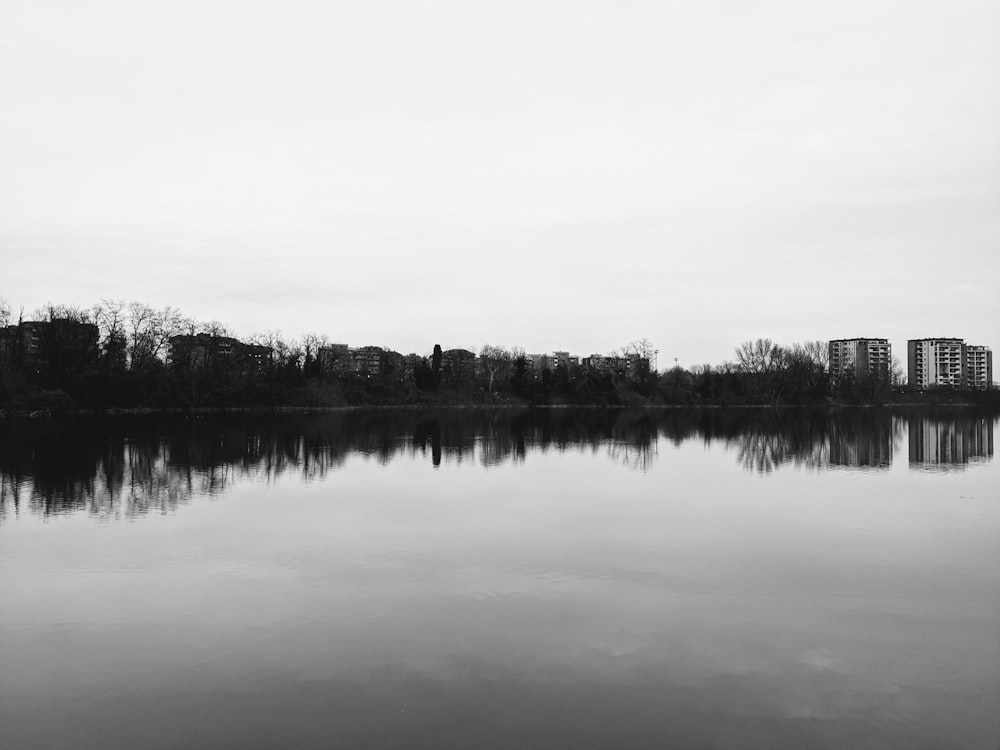 a large body of water surrounded by trees