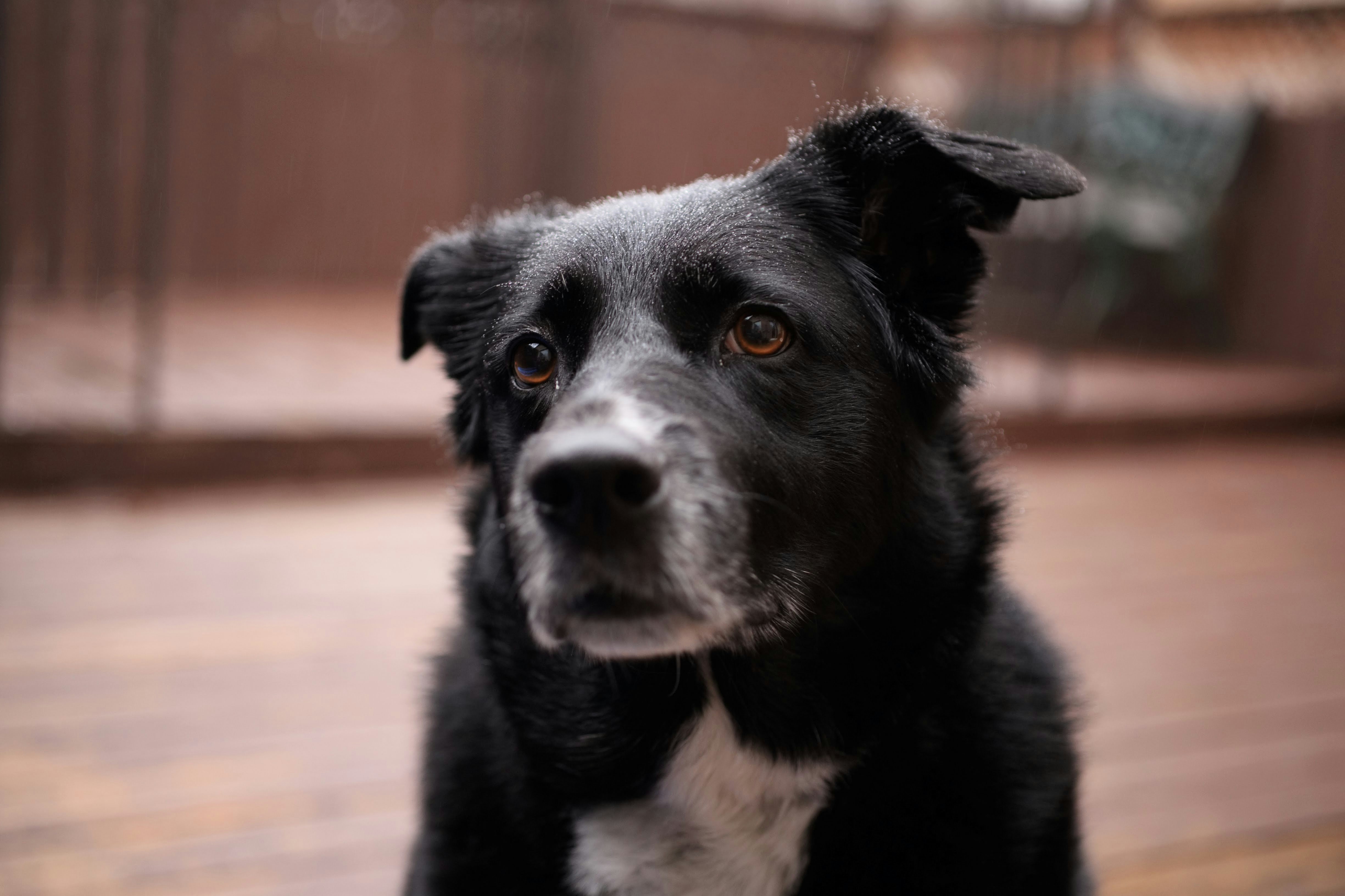 Photo by danieljperagine