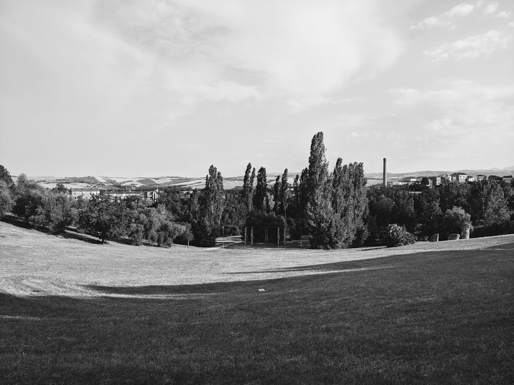 a black and white photo of a grassy field