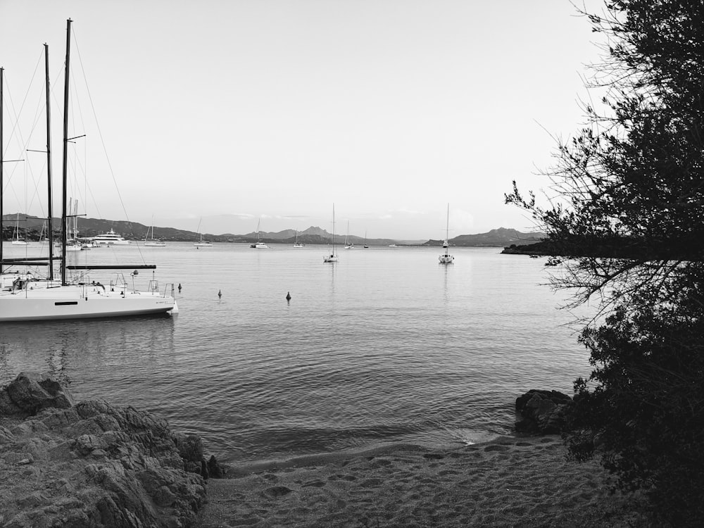 a black and white photo of boats in the water