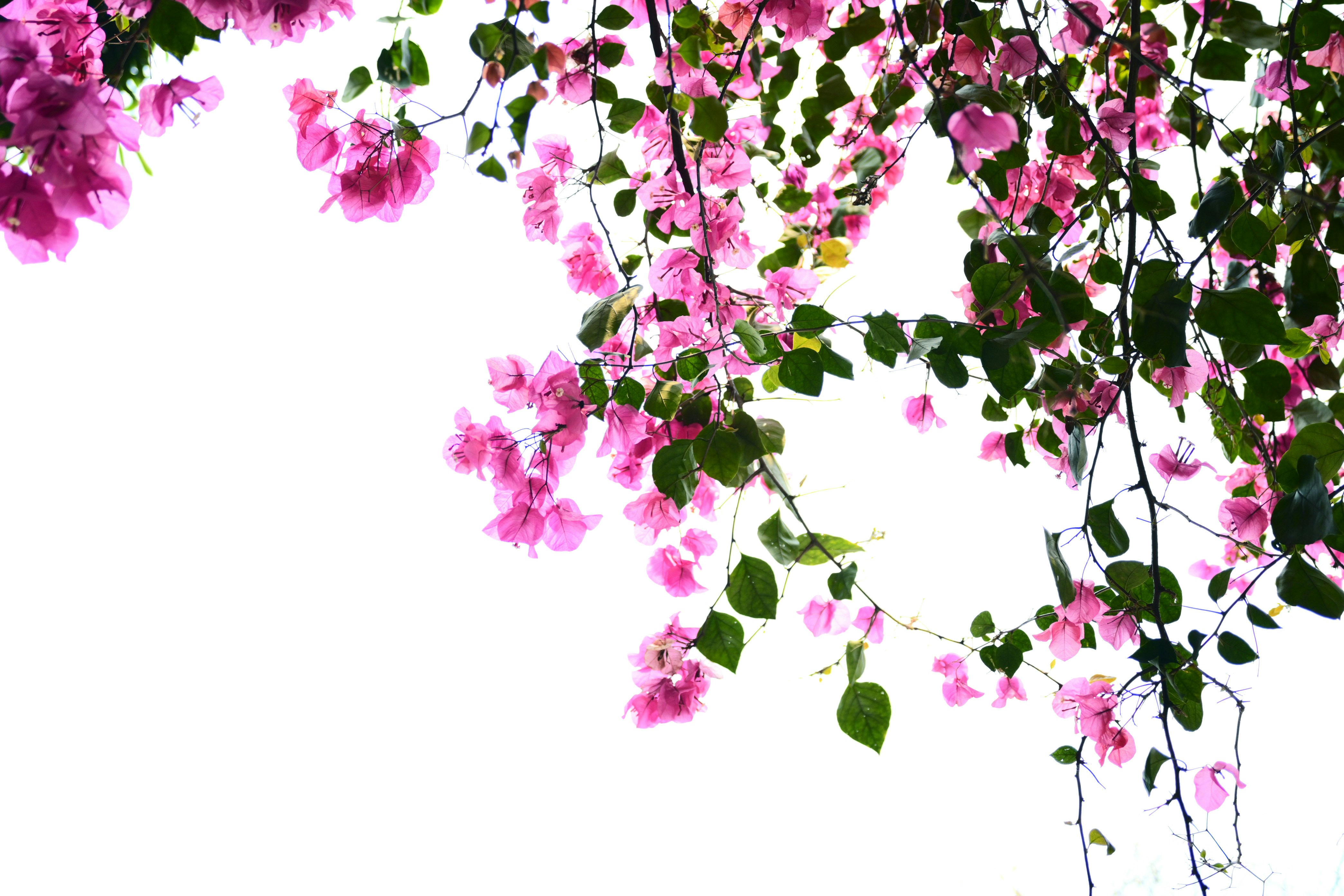 Photo by kinferiority