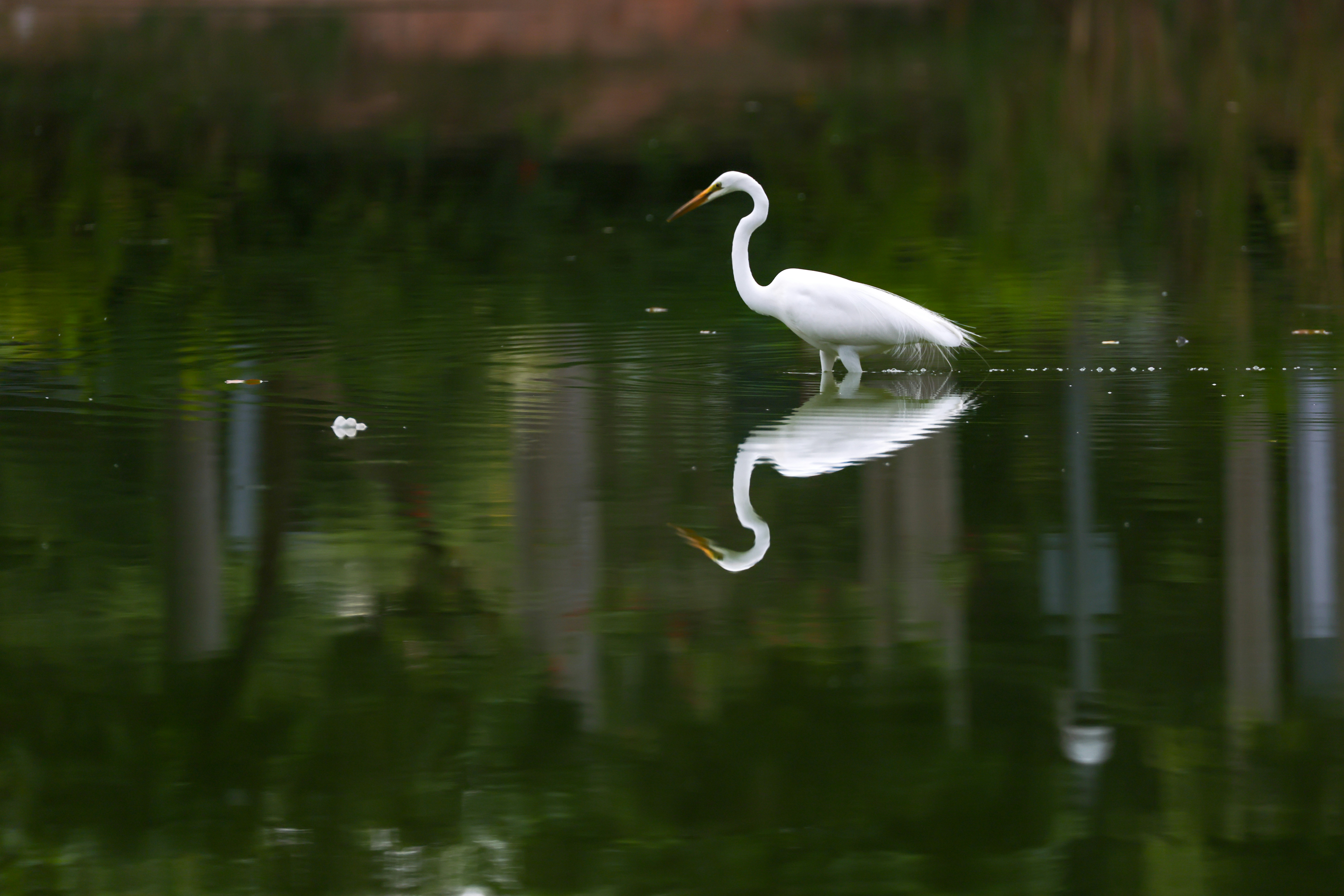 Photo by dickenslin76