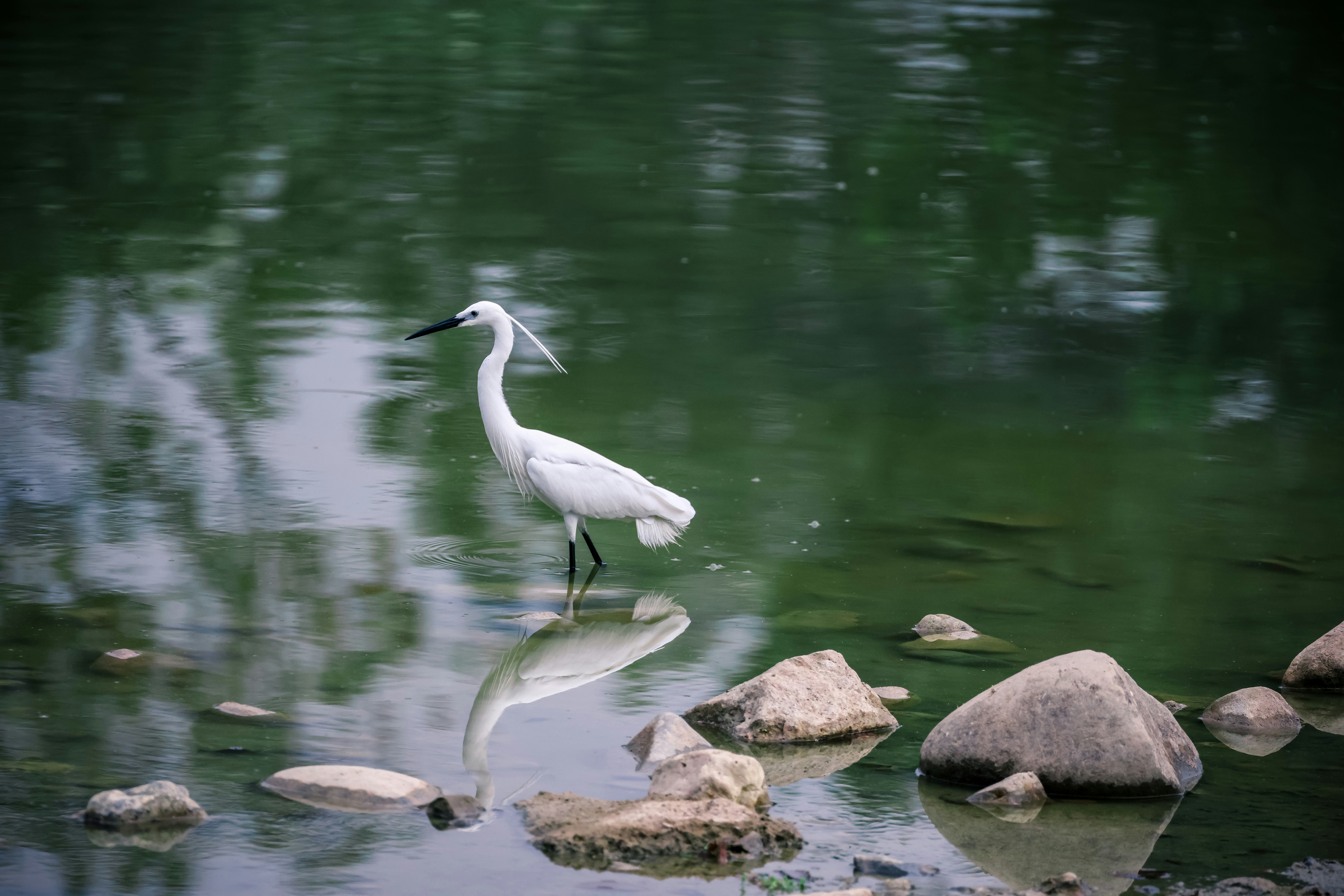 Photo by dickenslin76