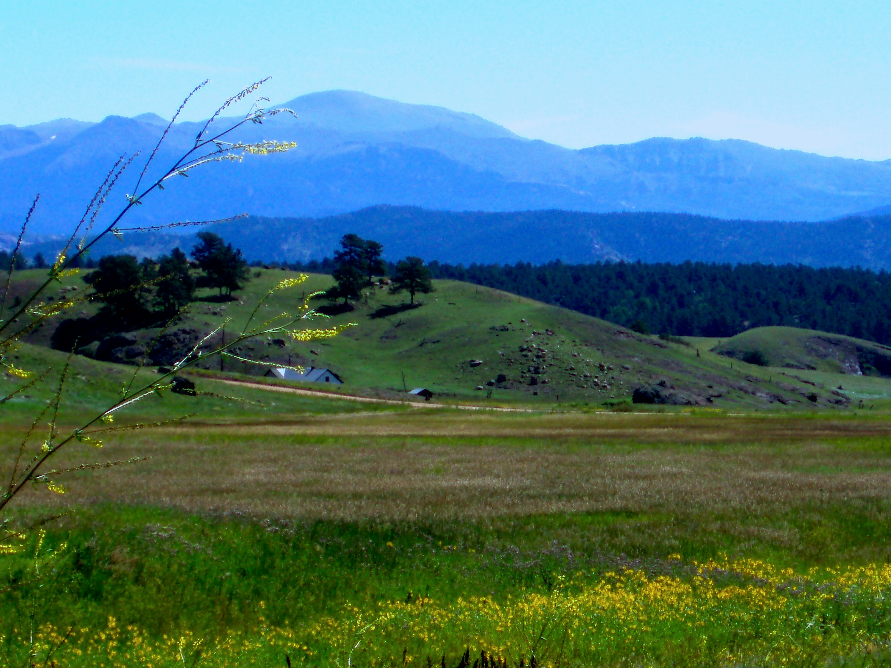 Photo by coloradogigi