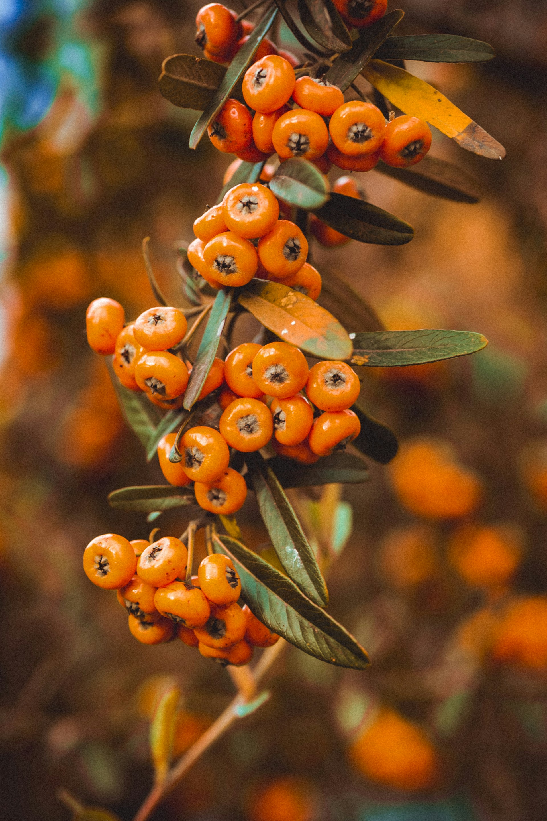 Photo by anna_safronova