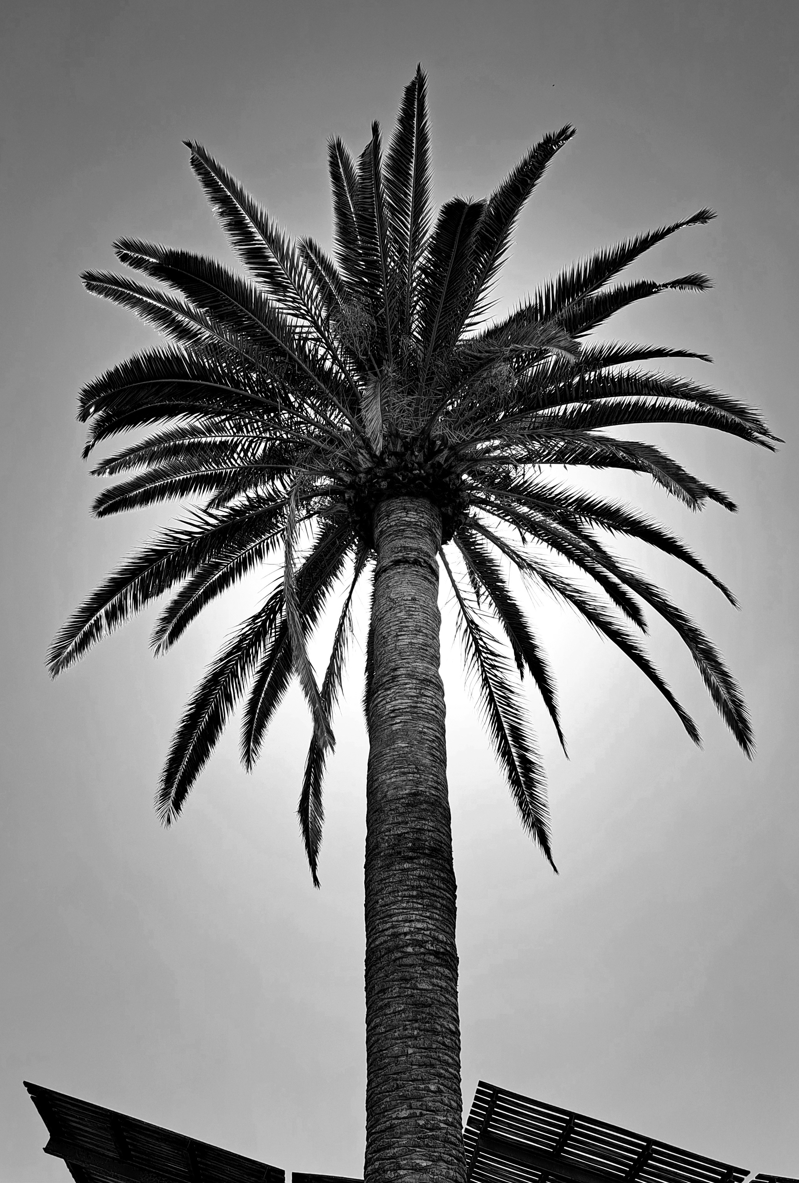 Photo by schreibmich