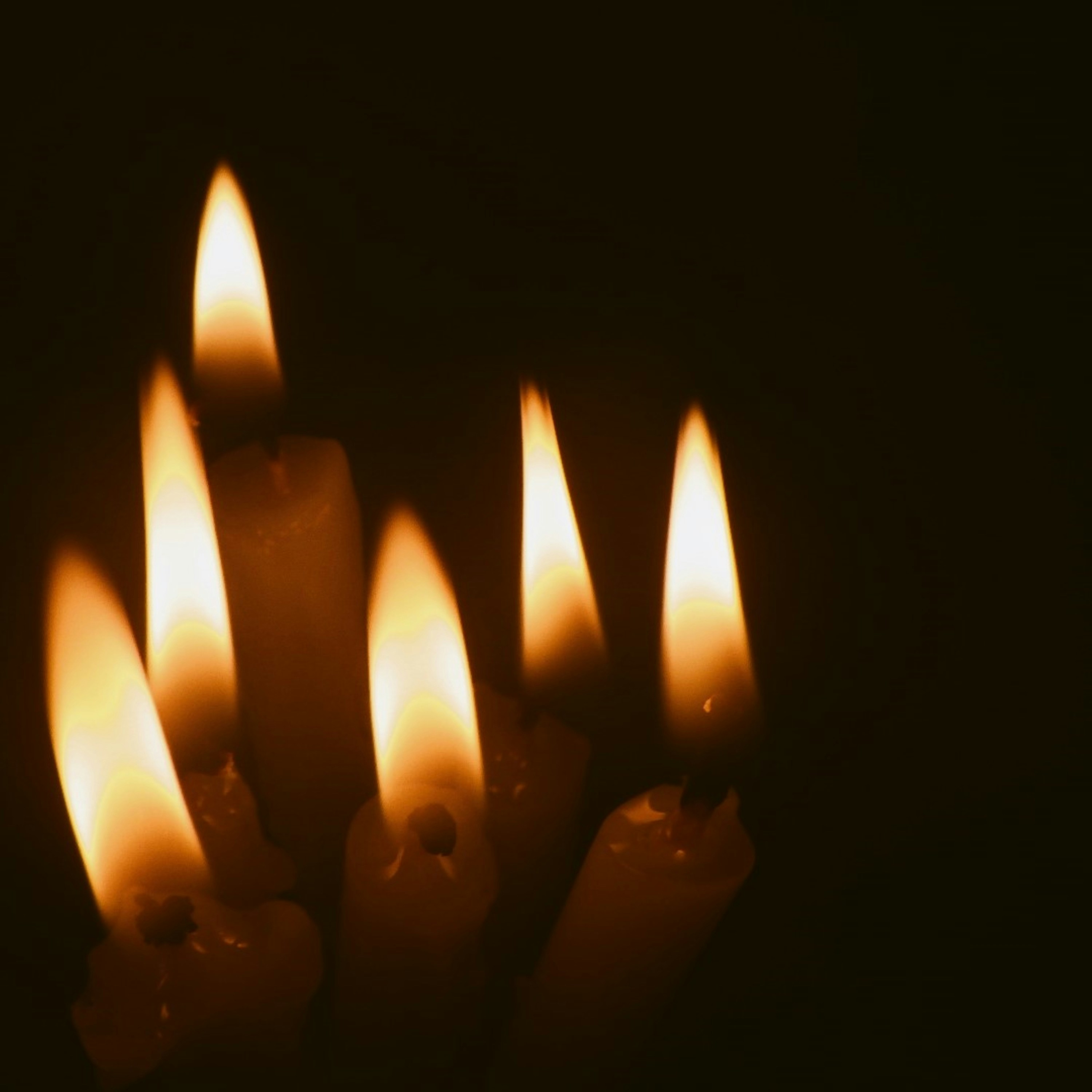 Photo by dominapetric