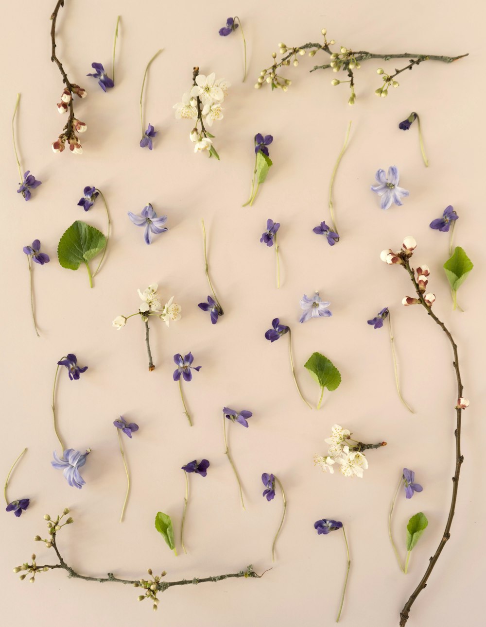 a group of blue and white flowers on a white surface