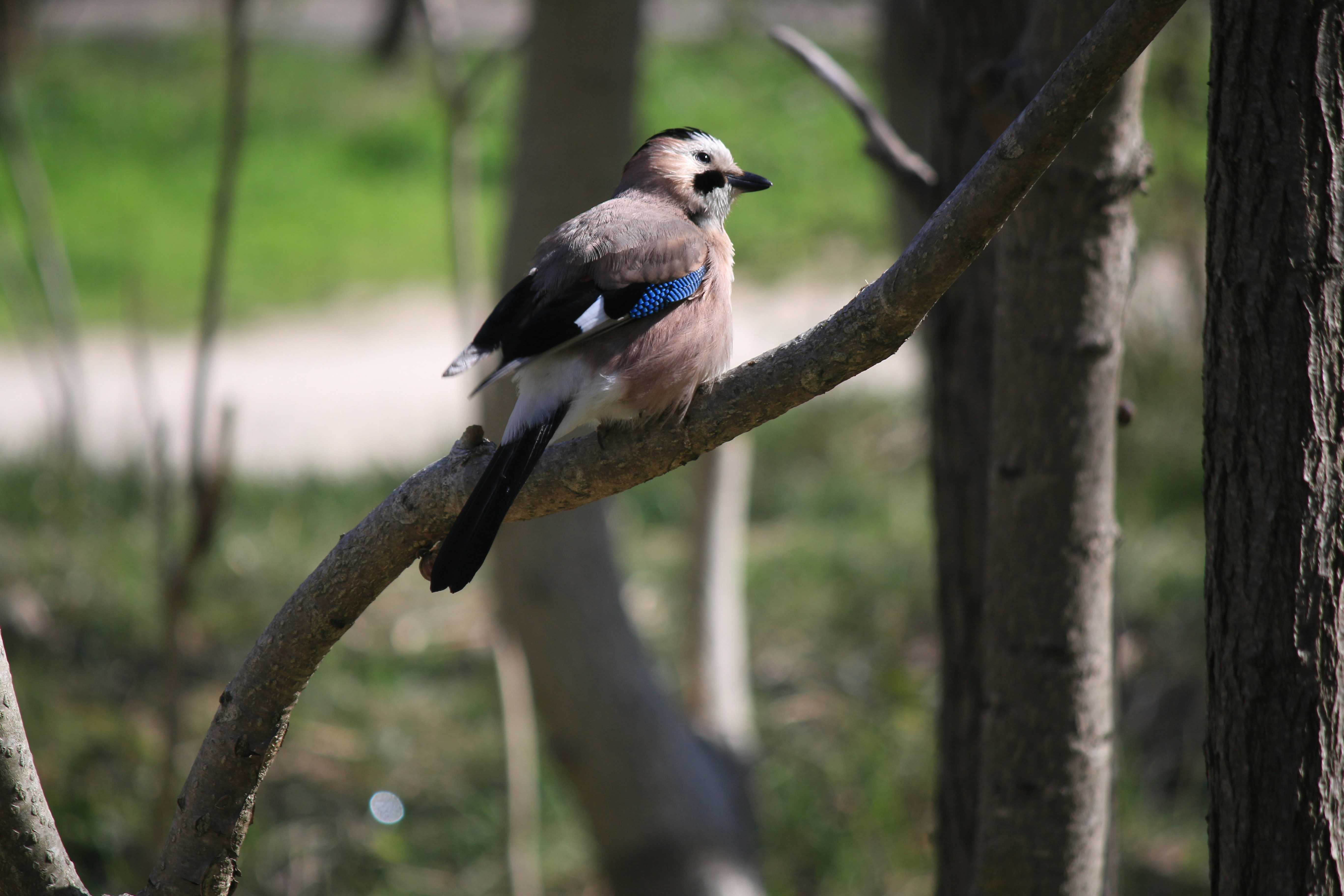 Photo by stepan_konev