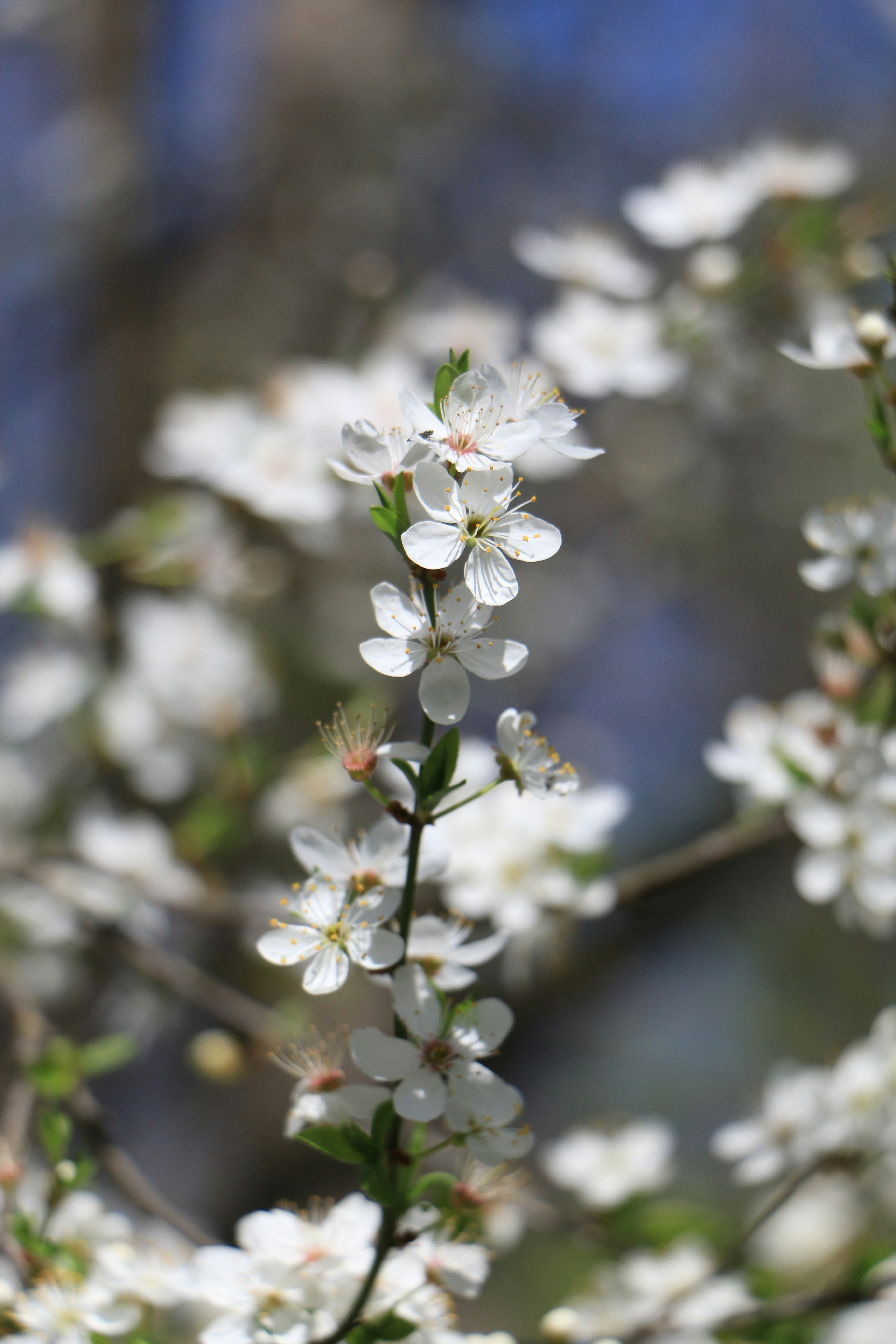 Photo by stepan_konev