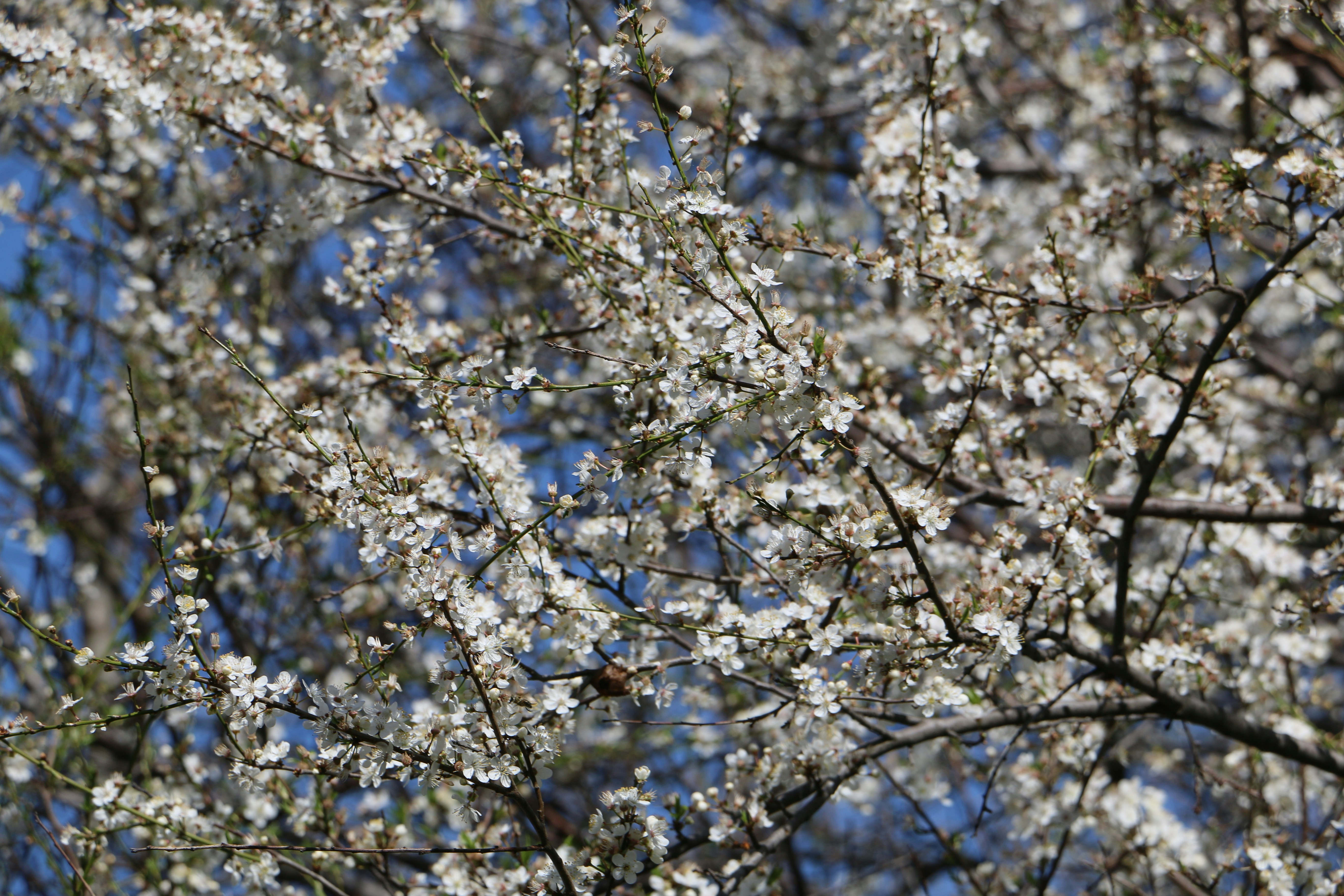 Photo by stepan_konev