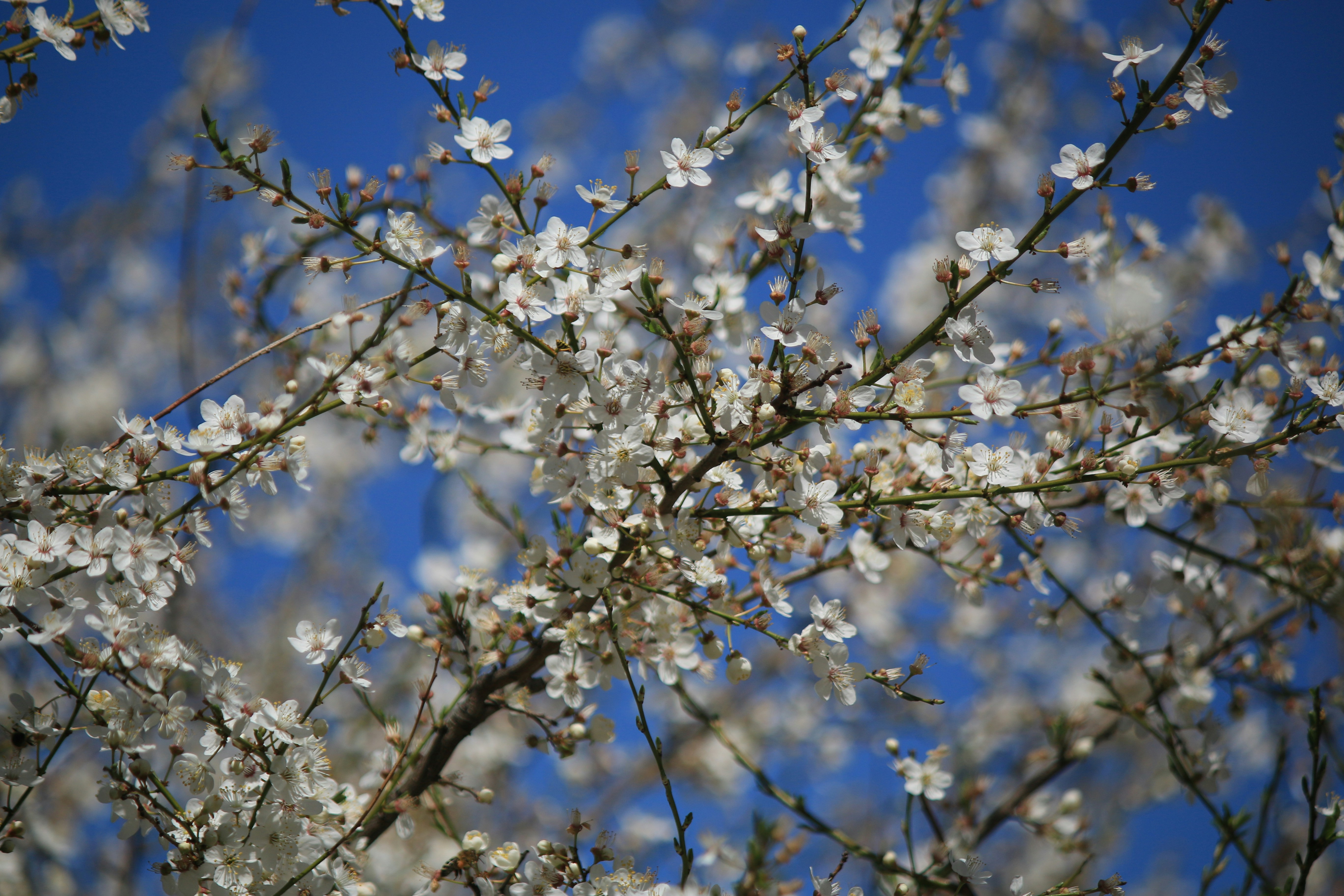 Photo by stepan_konev