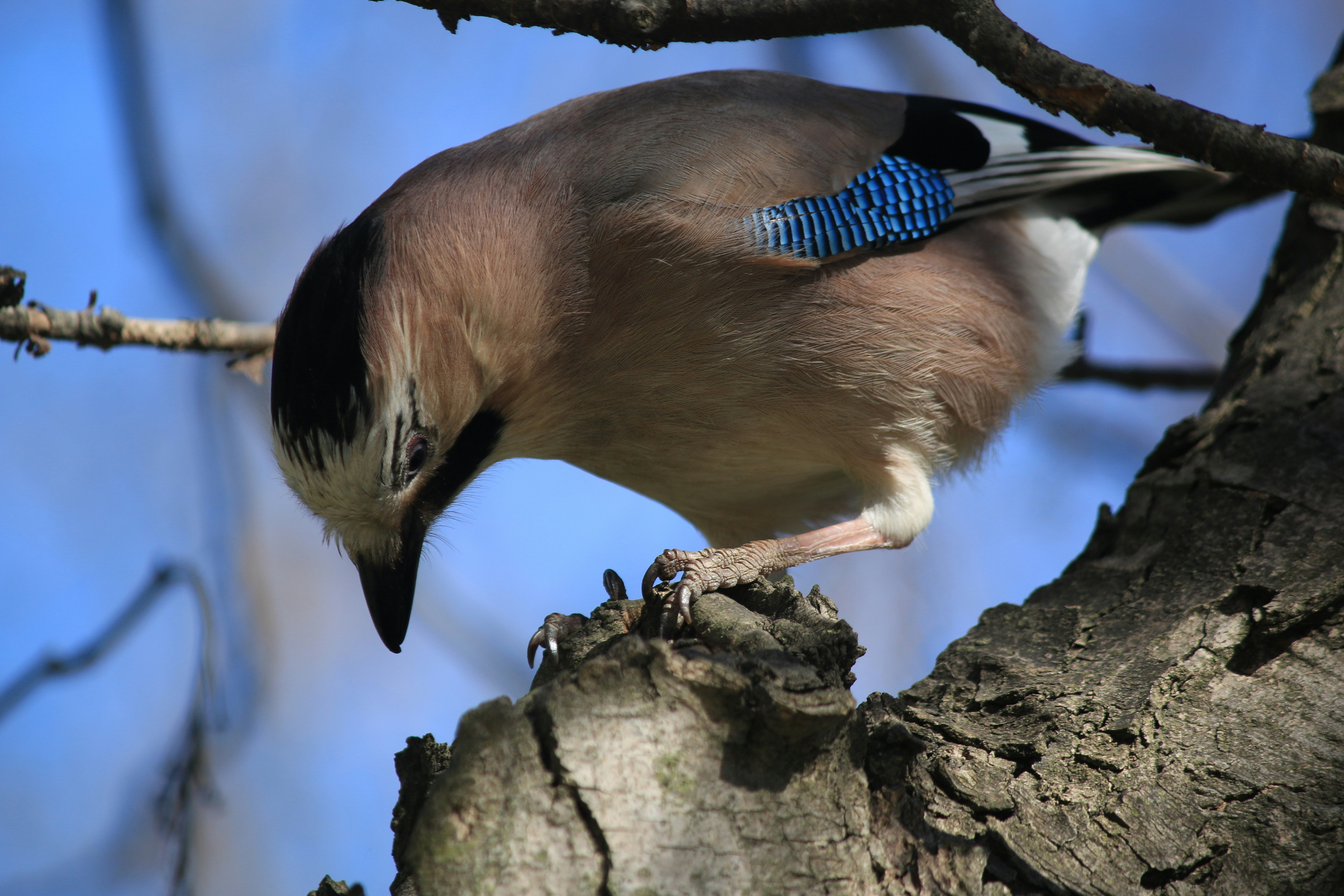 Photo by stepan_konev