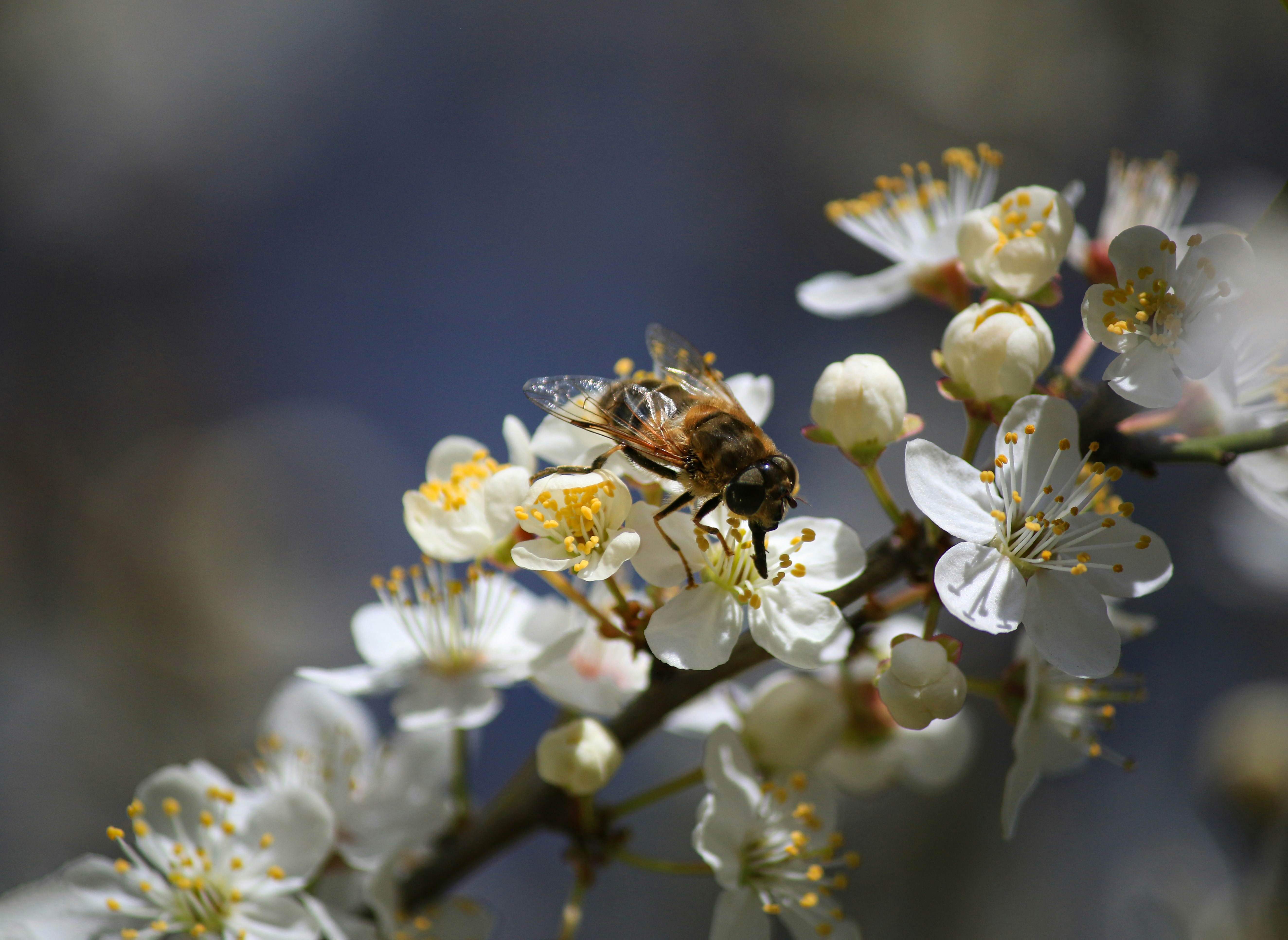 Photo by stepan_konev