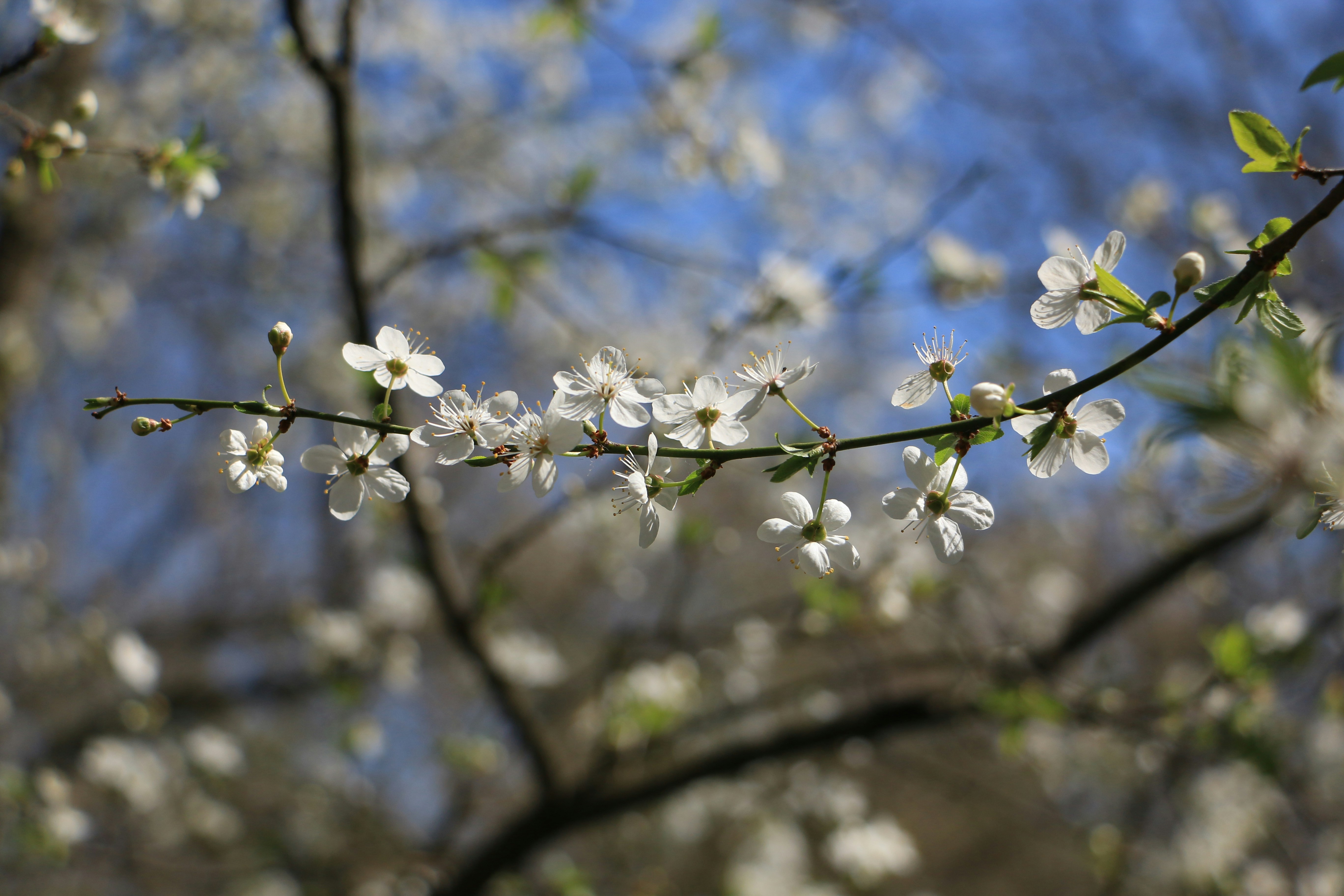 Photo by stepan_konev