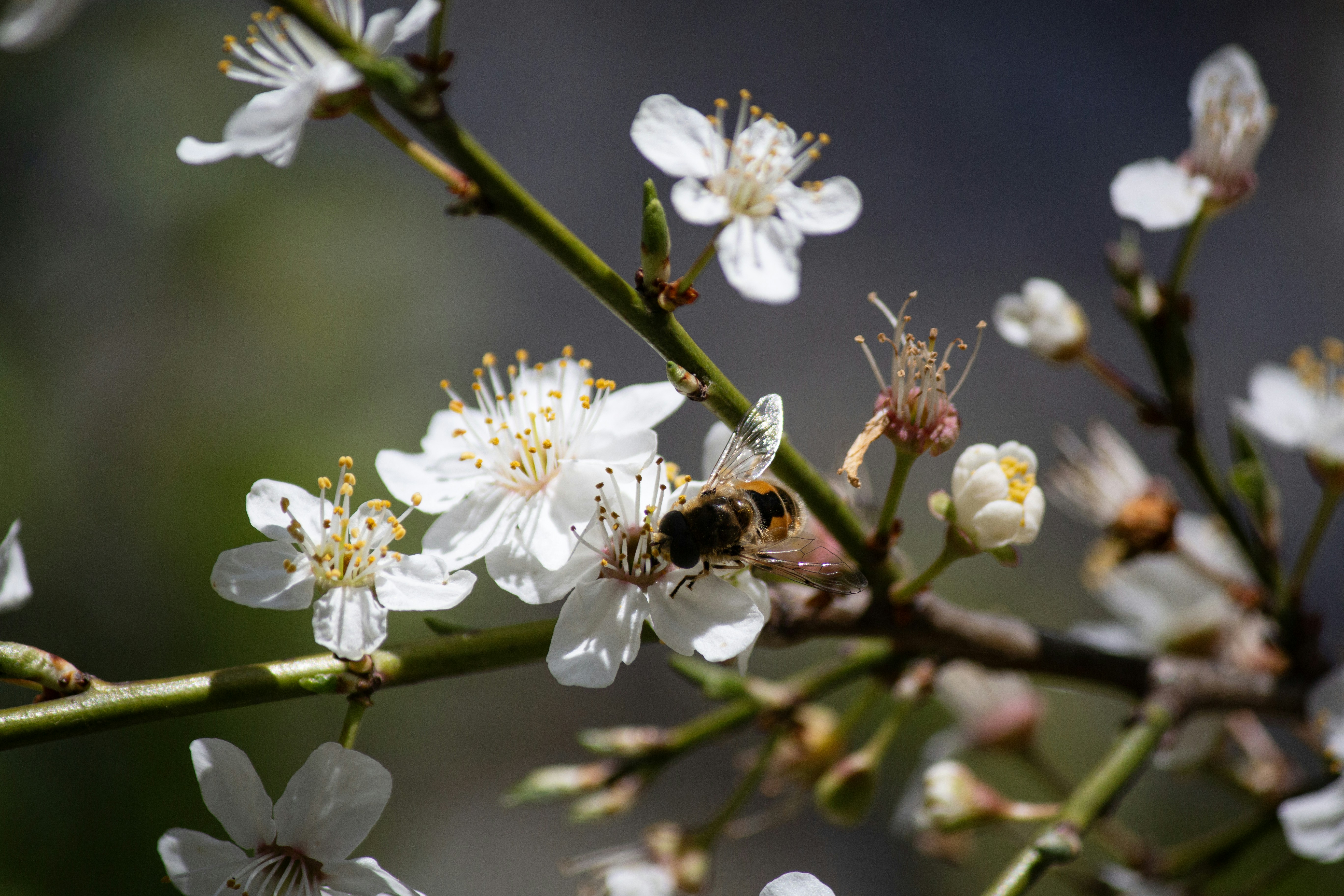 Photo by stepan_konev