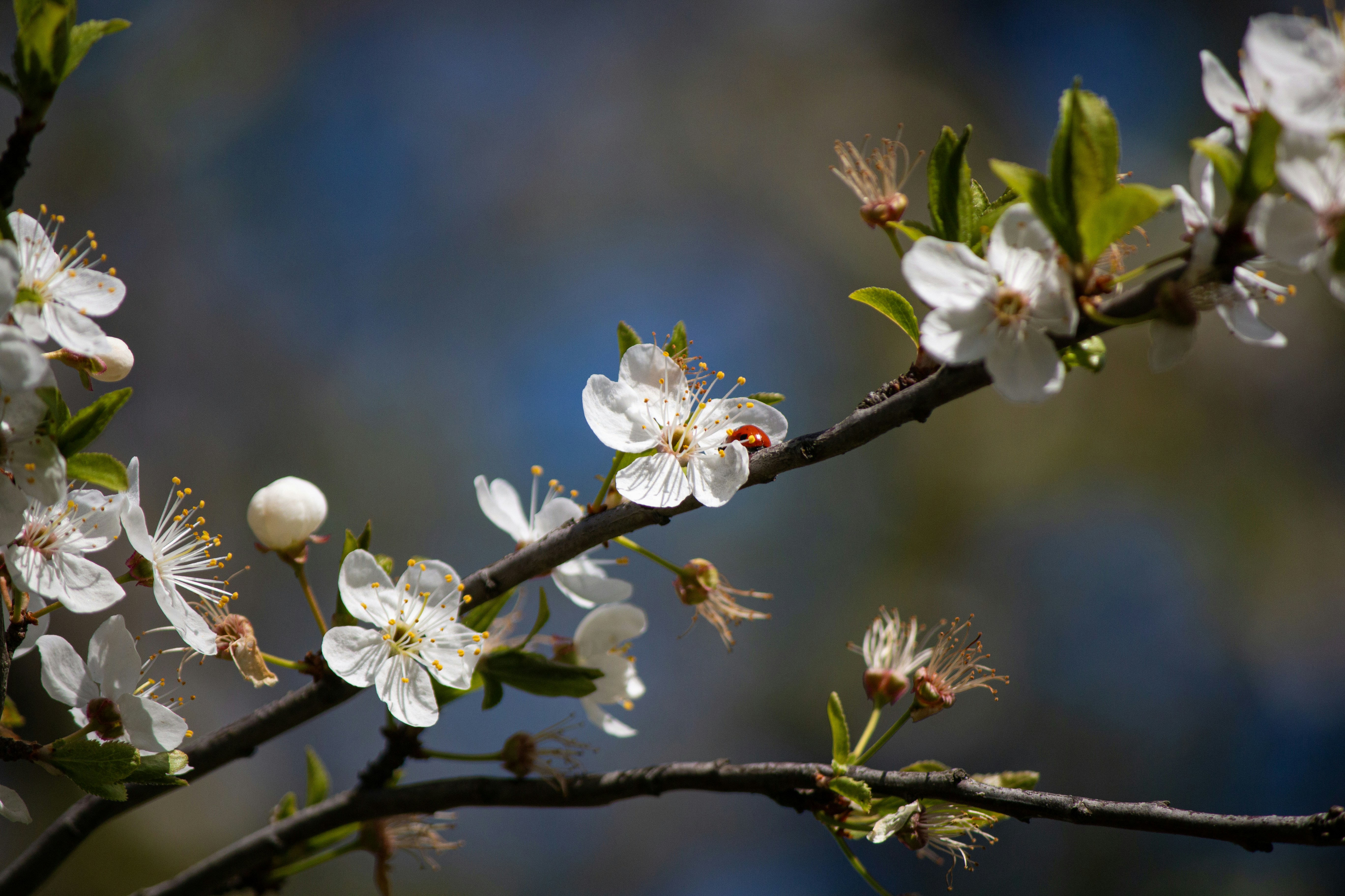 Photo by stepan_konev