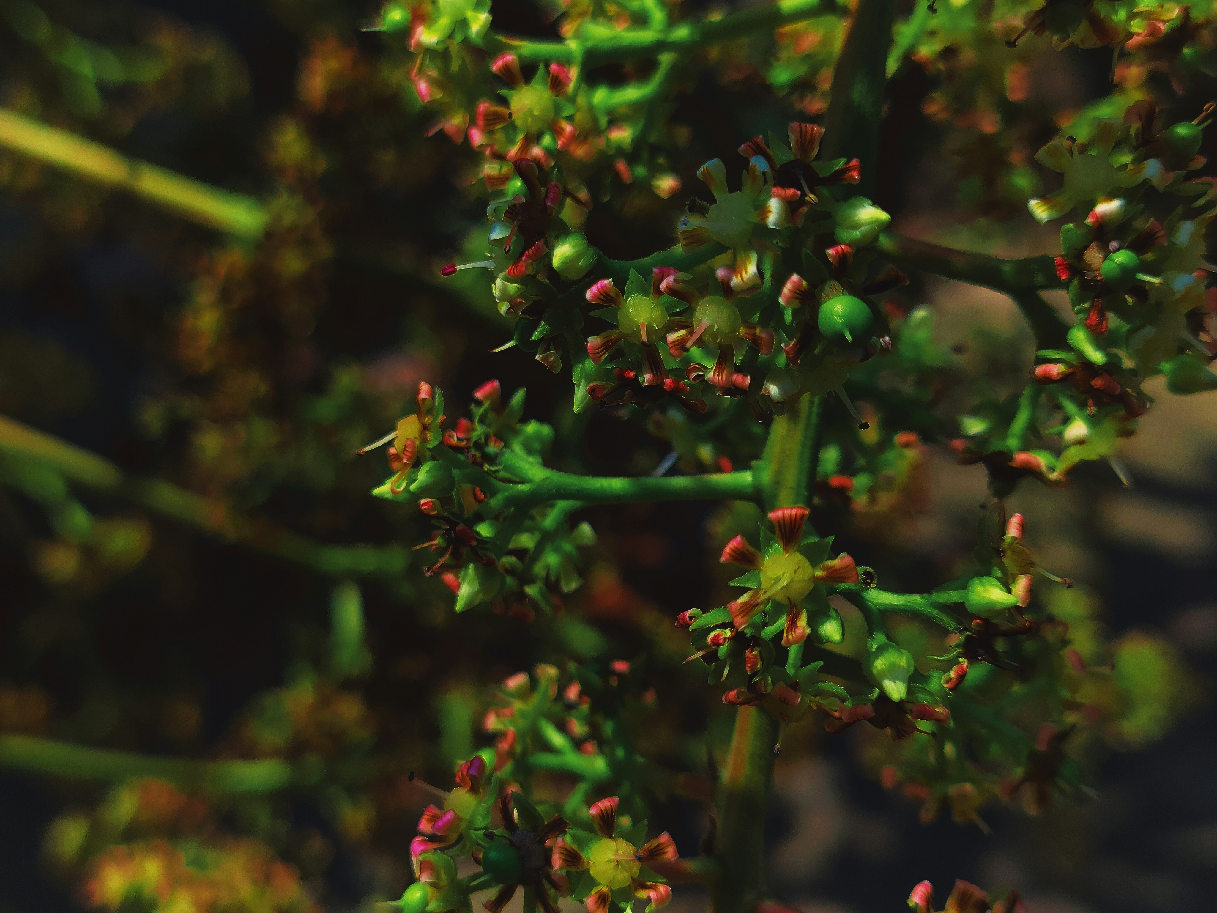 Photo by prashantkr987